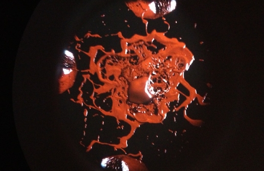 Galleria fotografica






Le prove generali








Prove del primo atto: al centro, il Bonsai di pica-pica


















Comincia la nostra esperienza: occhio all'indirizzo del centro Arts Santa Monica








Fuori staziona il van di Girona con tutto il nécessaire commestibile








Dentro, la targa coi ringraziamenti a tutti coloro che hanno lavorato al progetto





