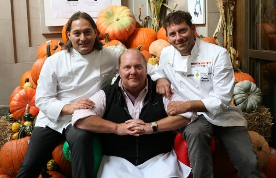 Galleria fotografica



