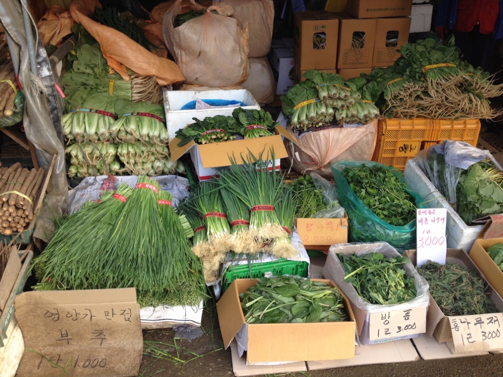 Galleria fotografica






Panoramica dal 32mo piano del Lotte Hotel di Seul. La capitale della Corea del Sud (che i locali pronunciano "sol"), con 10 milioni di abitanti (25 considerando tutta la proncia di Gyeonggi) è tra le città più popolose al mondo








Sfigurata nel Novecento dai Giapponesi (prima parte del secolo) e dalla guerra di Corea (1950-1953), oggi Seul ha un aspetto moderno, piuttosto occidentale








Con decine di milioni di turisti all'anno, Seul è tra le 10 città più visitate al mondo. Nella foto, una delle attrazioni più viste in città: il Dongdaemun Design Plaza, progettato da Zaha Adid e Samoo e completato nel marzo del 2014
 








A passeggio per il quartiere di Myeongdong, molto frequentato anche per l’alta concentrazione di ristoranti








Il viaggio era cominciato bene: tra le opzioni commestibili sui voli di Korean Air c’è proprio una squisita Bibimpap, con tanto di foglietto illustrativo






