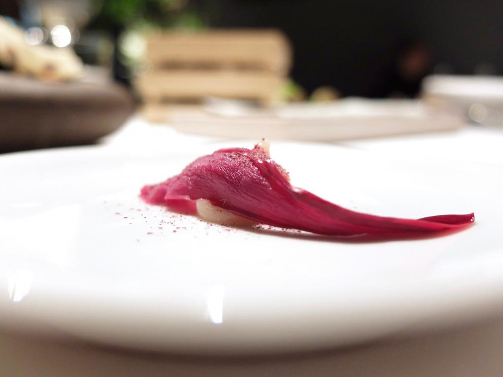 Galleria fotografica



