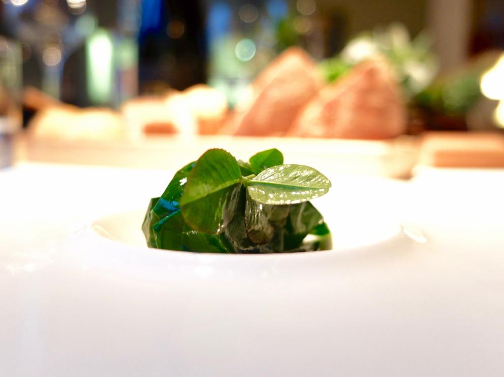 Galleria fotografica



