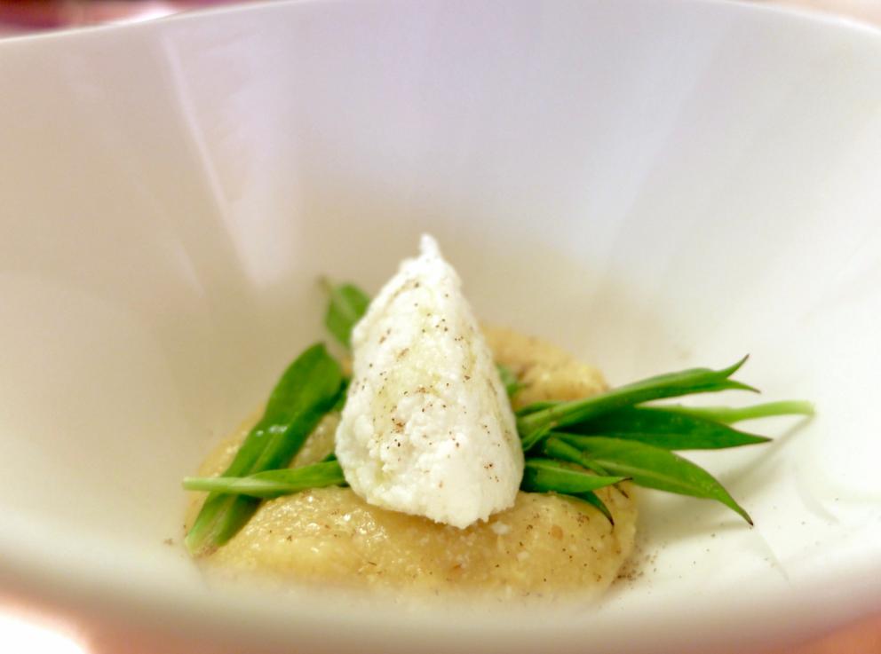 Galleria fotografica