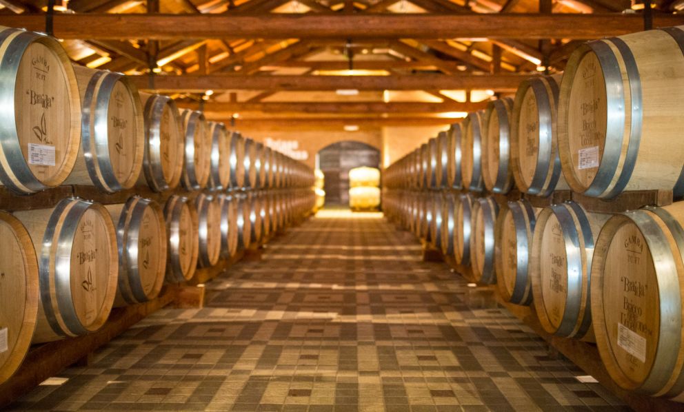 Braida: la scuola di potatura a Rocchetta Tanaro e il Wine Resort 
