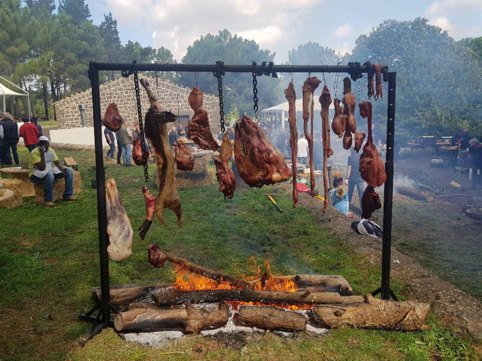 Galleria fotografica






Diego Rossi









Saro Pennisi









Giuseppe Zen











