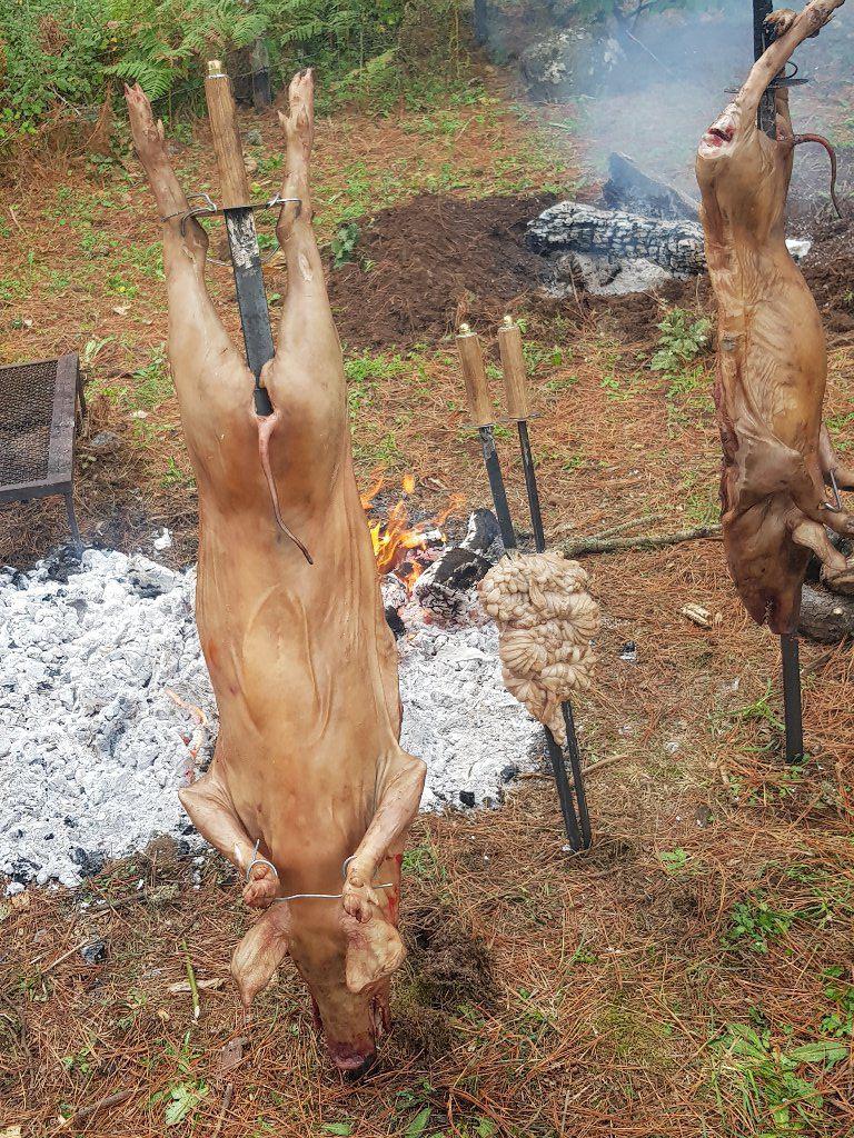 Galleria fotografica






Diego Rossi









Saro Pennisi









Giuseppe Zen


























