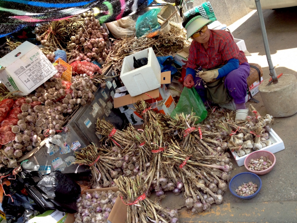 Galleria fotografica






Panoramica dal 32mo piano del Lotte Hotel di Seul. La capitale della Corea del Sud (che i locali pronunciano "sol"), con 10 milioni di abitanti (25 considerando tutta la proncia di Gyeonggi) è tra le città più popolose al mondo








Sfigurata nel Novecento dai Giapponesi (prima parte del secolo) e dalla guerra di Corea (1950-1953), oggi Seul ha un aspetto moderno, piuttosto occidentale








Con decine di milioni di turisti all'anno, Seul è tra le 10 città più visitate al mondo. Nella foto, una delle attrazioni più viste in città: il Dongdaemun Design Plaza, progettato da Zaha Adid e Samoo e completato nel marzo del 2014
 








A passeggio per il quartiere di Myeongdong, molto frequentato anche per l’alta concentrazione di ristoranti








Il viaggio era cominciato bene: tra le opzioni commestibili sui voli di Korean Air c’è proprio una squisita Bibimpap, con tanto di foglietto illustrativo








Bancarelle all’ingresso del mercato Namdaemun, tra i più popolari di Seul. Chiunque può andare e comprare; non occorrono licenze








Namdaemun, trippa a mollo








L’affitto di una bancarella al Namdaemun costa circa 2.000 dollari americani al mese, ma consente un ricavo medio mensile di almeno il doppio








Cozze giganti, molto popolari sulle tavole coreane








I mercati sono sterminati, molto puliti e per nulla caotici








All’interno del mercato, c’è anche un ristorante molto spartano e molto buono. Serve di tutto: hoe (pesce crudo), kimchi (verdure fermentate), guk tang (zuppe), bibimpap…








Baek kimchi: cavolo stufato con rape bianche, pere, prezzemolo coreano. Talvolta è servito anche con le castagne








Scodella di Bibimbap








Uova di quaglia bollite, aglio e edamame








A chiusura del pasto, ecco una bella zuppa fumante (erano le 8 del mattino)








Zuppa di alghe e merluzzo








Mingles, sulla Cheongdam-dong nel quartiere di Gangnam-gu, è l’indirizzo più interessante di cucina coreana contemporanea. L’ha aperto poco più di un anno fa Mingoo Kang, tornato a casa dopo esperienze da Martin Berasategui e da Nobu Bahamas








Mingoo Kang propone un solo menu degustazione da 88.000 won (circa 70 euro). Ognuno dei piatti contiene sempre un elemento fermentato








Mingles esprime un approccio creativo fondato però sulle salse fermentate, pilastro della cucina coreana tradizionale: cho (aceto), gan-jang (salsa di soia), gochu-jang (pasta molto piccante di peperoni rossi, fagioli di soia bolliti e sale), doen-jang (pasta di fagioli di soia), erbe e spezie








Composizione iniziale di amuse bouche. Da sinistra a destra: Polpo, foglia di senape e pasta di aioli fermentata; Gelatina di bacche omija, zuppetta di asparagi bianchi, mirtilli e spuma di aceto nero e Pera arrotolata nella sogliola (salsa di gochu jang marinata nello yuzu), uva e peperoncino








Sandwich di fegato di rana pescatrice in sfoglia di miele su chip di funghi








Insalata di noodle di riso con senape coreana, spuma di tofu, alghe marinate, abalone e aragosta








Torchon di foie gras marinato nel doen jang (pasta di fagioli di soia), vino di prugne dorate corane e kimchi bianco








Branzino al vapore con calamari mignon brasati in cima e alga combu, brodo di alghe, granchio e kimchi bianco








Cracker di alghe e tapioca con polvere di tartufo, uova di salmone, melanzana e purea di mango








Noodle di umami (capelli d’angelo, pasta di alghe e inchiostro di seppia), brodo di pollo e pesce, spuma di lemongrass, ricci di mare, ostriche fritte e gambero








Per dessert, Crème brulee di jang tro, pican di gan-jang, gochu-jang, gelato alla vaniglia e spuma di whisky








La squadra del ristorante Mingles fa festa a fine cena coi colleghi dell’Osteria Francescana. Al centro, Massimo Bottura, presenza illustre del Seoul Gourmet Festival (leggi qui)








Al centro, Vivian Han, patron del ristorante Congdu, uno dei più quotati in città, il posto ideale esperire la doppia anima della cucina coreana, tra la tradizione e una avanguardia moderata. Con lei si riconoscono lo chef Hwan Eui Lee e Chris Kwon, regista di sala (foto David Rosengarten)








The bella veranda del ristorante Congdu, indirizzo 116-1 Deoksu Palace








Spalla di maiale Jeju cotta in bassa temperatura per 48 ore con gimchi invecchiato








Carpaccio di manzo con 3 tipi di salsa di soia stagionata, caviale e insalata di fiori








Il cocktail più noto del Congdu: makgeolli di fagioli neri e ginseng rosso invecchiato 6 anni








AND dining, il ristorante di Jinmo Jang, si trova sulla Hannam-dong, quartiere di Yongsan-gu, quartiere vivace ad alto tasso hispter nella periferia meridionale della città. Si accede al ristorante di fine dining da una porticina, dopo aver passato una caffetteria da colazione








E’ un bancone di soli 8 coperti in tutto, con 3 persone in cucina. Solo menu degustazione da 130.000 won (105 euro circa)








Jinmo Jang, 30 anni, e il suo sous chef ByeongCheol Mun, 21 anni. La cucina di AND parte da una base coreana ma poi spazia in tutto il mondo, con richiami alla Nordic Cuisine e ampie parentesi anche al tecno-emozionale di stampo spagnolo (sifoni, maltodestrine, eccetera)








Amuse bouche: Minisandwich di mela e formaggio di capra, croquette alla carota e arancio, latte di tigre e tuorlo d’uovo al tartufo. Sotto, tartufo al cioccolato e gochujang








Tartare di capasanta con latte di ricci di mare e neve








Sea ("mare"): sabbia edibile di aringhe affumicate, alghe, olio di fagioli fermentati con maltodestrina di tapioca. Il tutto è servito con gamberi al vapore, lumache di mare, vongole, ostriche feremntate e tunicata








Abalone e uova di triglia disidratate








Anatra su salsa di bietole








Peperoncini all’ingresso del Noryangin, l'altro monumentale mercato della città (con wi-fi pubblico)













Tunicata (sea squirt in inglese), mollusco molto popolare in Corea: tolto l’involucro gommoso, si preleva il contenuto e si frigge








Enorme la varietà di granchi coreani, buonissimi se fermentati nella salsa di soia (Gankang-gejang)








Prawns in fila








Granchi reali








Echiurodei (spoon worms in inglese), altro mollusco diffuso








Gianchetti essiccati. Nessun posto al mondo vanta una varietà così sterminata di pesce essiccato








Variazioni di peperoni rossi fermentati, un vero simbolo della cucina coreana








Sullo sfondo, le preziose anguille. Il pezzo più pregiato del mercato? Gli abaloni: 35 euro al chilo








Torniamo all’aperto del Noryangin per scoprire radici di ogni ordine e grado, molto utilizzate per le infusioni








Daikon fermentato nella salsa di soia








Il frutto interno del cactus. Ci ricavano dei succhi








Gim, le splendide alghe coreane, disidratate e spesso condite con sesamo. «La nostre sono le migliori», si vantano








Carne di cane, la parte più controversa della cucina coreana. È un’usanza ora molto meno diffusa di un tempo, quando la povertà costringeva a introdurre i 4 zampe nella dieta. I cani preferiti sono i nureongi (razza gialla). Li mettono a bollire per un paio d’ore e li accompagnano con aglio, cipolla verde e talvolta del ginger. La carne è molto saporita, dicono








La grandi salse base della cucina coreana








Meloni coreani, molto saporiti










