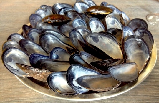 Galleria fotografica






In cammino verso il Noma. Il ristorante è al piano terra del palazzone più a sinistra. Per arrivarci dalla popolare insenatura di Nyhavn (il punto da cui è scattata la foto), occorre fare un bel giro. Ma si notano i lavori per la costruzione di un ponte. Che condurrà dritto all'insegna








Altra prospettiva sul Noma da Nyhavn. Il ristorante galleggia sulla Christianshavn, una delle tante isole artificiali che compongono Copenhagen








Di là del fiume, sulla lunga via che conduce allo spiazzo del Noma








Uno scenario molto tranquillo, di case pastello. Il silenzio è perché vanno tutti in bici













Al massimo si sente rombare qualche scafo








Il vascello davanti al Noma. Oltre a quella danese, sventolano le bandiere di Isole Far Oer e Groenlandia: le loro ambasciate sono nello stesso palazzo del ristorante. Coerenza nordica








Il retro del ristorante. L'80% delle 80 persone che lavorano al Noma viene a lavorare in bici, chef incluso








Dietro al ristorante, un'iscrizione ricorda i passeggeri scomparsi a bordo della danese Hans Hedtoft. Il transatlantico si scontrò il 30 gennaio 1959 contrò un iceberg in Groenlandia. Fu ritrovata solo una cintura di sicurezza
 








L'ingresso del ristorante, al civico 93 di Strandgade








La vista, ingresso alle spalle








Tra l'ingresso e la cucina a vista, spicca un corner di decoro simil-giapponese. A sinistra s'intravede Noma, time and place in Nordic Cuisine, edizioni Phaidon, un testo fondamentale per approfondire tutti i rivoli del Redzepi-mondo. La versione italiana si ordina qui








Una pianta di piccoli agrumi orla la cucina a vista








La porta d'ingresso vista dalla cucina








Le sedie, molto comode, sono anni Sessanta con schienali foderati di pelle di pecora, alcune più morbide di altre








I tavoli sono ampi e senza tovaglie. Attorno prevale il grigio e i colori rustici, sulle travi in legno del soffitto ma anche sulle divise dei ragazzi di sala








La finestra accanto al nostro tavolo








E' lo chef Rene Redzepi a introdurci al pasto: in un vaso di fiori danesi, l'unico pendaglio commestibile è una sorta di carta musica croccante (flatbread) di farina di malto all'aroma di ginepro. Nel piattino in basso, una deliziosa crème fraîche acida per intingerlo








Il flatbread è quello che svetta. "Ma se ci tenete, provate a mangiare anche i fiori", scherza Redzepi. Il cuoco scompare nelle segrete del Noma. Lo ritroveremo solo alla fine del pasto








Tutti i 14 appetizer si mangeranno con le mani. Unica posata, il coltello per tirar su e leccare la crème fraîche da sola (da fare quando tutti gli altri clienti son distratti, però)








Moss and Cep: Muschio di renna con polvere di funghi porcini. E' il corpo bianco, molto saporito ed evanescente, da intingere anch'esso nella crème fraîche
 








Crispy pork skin and black currant: Pelle di maiale croccante e ribes nero, lo strato più esterno. Aspro e croccante








Il ribes nero non ci lascerà prima di molto tempo





