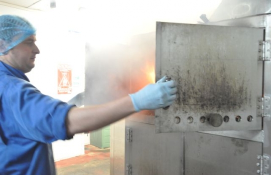 Galleria fotografica






Scozia, regione di Argyle, sud-ovest del Paese








Loch Fyne è il fiordo più noto di Argyle e anche il più lungo del Paese. Loch in gaelico significa "lago", fyne "fiordo"








Nei dintorni, colline dolci, larici, pini e abeti








Al largo si scorgono delle gabbie di acquacoltura








Disinfettare bene i piedi prima di salire sulla chiatta








Sulla chiatta, verso le gabbie dei salmoni








L’acqua in cui sguazzano i salmoni è pulita, filtrata, ricca di sali minerali








Ecco la gabbia: sono una decina in tutto, di larghezza variabile, profonde fino a 28 metri








Nuotano in circolo 30mila salmoni per gabbia. Ogni esemplare ha a disposizione 98,5 litri d’acqua per ogni chilo e mezzo di peso, uno dei più elevati del Paese








Ecco il salmone! Sono esemplari nati da uova di salmoni-riproduttori, pescati in mare e mantenuti in cattività nelle avannotterie








Al largo, accanto alle gabbie, c'è anche la base che monitora costantemente i pesci e la distribuzione (automatica) del cibo. Mangime non Ogm selezionato, integrato da proteine di origine vegetale che riducono l’utilizzo di fauna ittica utilizzata per produrre farine di pesce













Raggiunti i 3-4 anni d'età - cioè il peso di 4-6 chili, toccato in circa 8-900 giorni di acquacoltura, dei quali metà passati in acqua dolce e metà in acqua salata, per assecondare il loro istinto naturale - i salmoni vengono pescati e immediatamente riposti nel ghiaccio, accorgimento fondamentale per mantenere rigida la carne








Le lavorazioni successive vengono effettuate entro e non oltre le 15 ore dalla pesca, nel laboratorio di Cairndow, il quartier generale di Loch Fyne a un passo dalle stesse acque in cui nuotano i salmoni








I salmoni sono lavati con la stessa acqua in cui hanno nuotato fino a poco prima








E poi decapitati, spinati e sfilettati a mano


















Del salmone, come del tonno, non si butta via niente








Nel clima necessariamente polare che avvolge le operazioni, il personale di circa 60 persone è quasi interamente composto da donne. «Gli uomini non sono altrettanto precisi nell’affettare», scherzano le impiegate infagottate nelle tute sterili








Quanto lavoro? 40 ore a settimana 








I salmoni sono marinati a secco con sale e zucchero di canna





