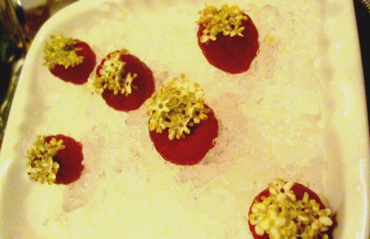 Galleria fotograficaSpugne di pane aromatizzate
Dopo il consueto pre-appetizer delle verdure disidratate (primo contenitore), arrivano le spugne, seconda parentesi colorata che rallegra il pasto dall&rsquo;inizio. In questo caso sono aromatizzate agli spinaci e uova di salmone; alla cipolla cotta al forno con terrina di vitello e alla curcuma con lardo. &laquo;Ma le combinazioni possono essere infinite&raquo;, spiega Matteo Baronetto, braccio destro di Carlo Cracco, &laquo;si possono utilizzare anche in pasticceria al cocco, ai lamponi&hellip; La tecnica &egrave; mutuata da Ferran Adri&agrave;. Abbiamo cercato di personalizzarla nel gusto. A me ricordano molto i canap&egrave; della tradizione piemontese. Senza maionese naturalmente&raquo;. Vivacit&agrave; cromatica ulteriormente ravvivata da un terzo contenitore di foglie di shiso e fiori di zucchina in tempura con riso venere e riso ai piselli fritto (che non vedete perch&eacute;, ahinoi, la foto &egrave; venuta male)