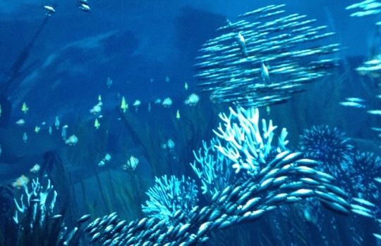 Galleria fotografica






Le prove generali








Prove del primo atto: al centro, il Bonsai di pica-pica


















Comincia la nostra esperienza: occhio all'indirizzo del centro Arts Santa Monica








Fuori staziona il van di Girona con tutto il nécessaire commestibile








Dentro, la targa coi ringraziamenti a tutti coloro che hanno lavorato al progetto








Per arrivare al set dell'opera si attraversa una mostra che proietta in oblò teaser coi motivi anticipatori di quel che troveremo dentro








Un altro teaser








Il set prima delle trasmissioni













Si parte








Una spirale ci introduce al viaggio








Al centro del tavolo, nascosto tra bonsai (un classico rochiano), pica-pica di bon bon rappresentativi di vari paesi: cevice peruviano, guacamole messicano, cous-cous marocchino...








Commensali spiazzati








Il sogno ha inizio: l'atto primo mette in tavola la Luna, sfere di tartufo bianco e nero con distillato terrestre








Intorno, un video di Franc Aleu, le musiche di Luca Francesconi e il tableware di Taller Luesma Vega








La luna








Atto secondo: lo spazio








Piatto dello spazio: aria di fichi di Cap de Creus








C'è un calice diverso per ogni atto: si passa dal cava agli champagne, dall'Armagnac ai Rioja a semplici gocce di distillati, versati anche sulla mano








Intorno, un altro splendido 3D di Franc Aleu, con le musiche di Sergi Caballero, Pedro Alcade








E' l'ofiuco, il tredicesimo segno zodiacale, tema del terzo atto










