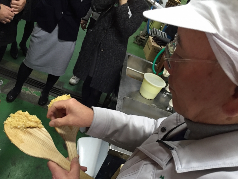 Galleria fotograficaKobe, un milione e mezzo di abitanti, &egrave; la capitale tranquilla della prefettura giapponese di Hyogo, a sua volta inserita nella macro-regione di Kansai, raggiungibile dall&rsquo;aeroporto internazionale di Osaka. Kobe dista da Osaka un&rsquo;oretta di macchina e 23 minuti di Shinkansen, i treni ad alta velocit&agrave; del Giappone. La tratta Kobe-Tokyo, circa 550 chilometri, si percorre in appena 2 ore e mezza
La prefettura di Hyogo - divisa nelle 4 province di Settsu (Kobe), Harima, Tamba e Tajima - unisce due coste: il mare del Giappone e il mare di Seto nel Pacifico a sud. Il suo simbolo &egrave; il castello di Himeji, patrimonio mondiale dell&rsquo;umanit&agrave; Unesco, eretto nel 1601. Tra poche settimane, tutt&rsquo;attorno, cominceranno a fiorire i ciliegi, uno spettacolo molto atteso&nbsp;(foto&nbsp;dronestagr.am)
La fama di Kobe accrebbe nel 1868 quando venne aperto il porto, che oggi dialoga con 500 altri porti di 130 paesi nel mondo. &Egrave; una tappa popolare per le navi da crociera. Kobe &egrave; un centro importante per le industrie pesanti e l&rsquo;acciaio: tra le altre, Kawasaki, Mitsubishi e Toshiba (foto seanews)

&nbsp;
Uno dei poli&nbsp;gastronomici pi&ugrave; vivaci di Kobe &egrave; sotterraneo, nel centro commerciale di Sogo. Decine di isole curatissime, con prodotti gastronomici di ogni genere. In primis, esercizi di patisserie e chocolaterie, una replica perfetta dei modelli francesi
Il pane &egrave; un simbolo importante per la gastronomia di Kobe, per i locali e per gli expat, circa 40mila residenti da tutto il mondo
I macaron, molto popolari nella Kobe bene
Passiamo alle meraviglie della gastronomia giapponese autentica: sempre sotto al centro commerciale Sogo, drappi di tessuto tinti con ideogrammi nascondono gli ingressi di piccole tavole a conduzione familiare, come questo teppanyiaki. Quattro tavoli in tutto, ognuno con piastra, per arroventarsi qualsiasi cosa. Nel nostro caso, soba meshi (noodle fritti con carne) e okonomiyaki, sorta di frittata. Vietato indossare maglioni pregiati
Nel centro di Kobe spunta anche una vivace Chinatown. Sono forti i legami commerciali tra la citt&agrave; giapponese e l&rsquo;isola cinese (con ambizioni irredentiste) di Taiwan
Le relazioni tra Kobe e Taiwan si sono rafforzate anche per un tragico destino comune: le calamit&agrave; naturali. Il terremoto di Kobe del 17 gennaio 1995 provoc&ograve; 6.400 vittime e 40mila feriti, danneggiando oltre 240mila palazzi. Nella foto, la prima sede del ristorante di cucina tradizionale Matsunoya dopo il sisma
Il ristorante Matsunoya &egrave; rinato in una nuova sede. Gli abbiamo dedicato un post
La chiusura del menu kaiseki del Matsunoya: t&egrave; matcha frullato per qualche secondo con canne di bamb&ugrave;, una preparazione molto popolare
Siamo accolti nel quartier generale della prefettura di Hyogo dal governatore in persona, il signor Toshizo Ido (nella foto, a destra). &laquo;Volevamo ringraziarvi anche per la nostra formidabile&nbsp;esperienza all&rsquo;Expo&raquo;, ci ha detto
I vasi di tulipani nel giardino della residenza del governatore di Hyogo
Dove comprare coltelli da cucina a Kobe? Coltelleria Kireaji-no-le, sulla Moto manchi dori, strada popolare per lo shopping
Con la pluri-premiata macelleria Moriya, passiamo al simbolo per cui la citt&agrave; portuale &egrave; famosa nel mondo: la carne di Kobe. Ottenuta da vitelli purosangue Tajima, vengono cresciuti per due anni negli allevamenti di Hyogo. Sulle sue caratteristiche di marmorizzazione abbiamo parlato diverse volte&nbsp;nei giorni di Expo. La curiosit&agrave; che non sapevamo &egrave; che fino al 1868, l&rsquo;anno in cui fu aperto il porto di Kobe, nessuno in citt&agrave; mangiava carne. Furono gli inglesi a insegnare loro l&rsquo;arte della macelleria. Purtroppo non riusciremo a visitare alcun allevamento. La motivazione ufficiale? &laquo;Dovreste stare qui a Kobe per almeno 80 giorni&raquo;, ci hanno spiegato gli interlocutori di Jetro Kobe, &laquo;solo da allora la vostra composizione batterica non risulter&agrave; pi&ugrave; nociva per i nostri bovini&raquo;
La carne di Kobe &egrave; servita in 37 insegne della citt&agrave; (e 300 in tutto il Giappone). Dove andare? Da Kobe Plaisir, al 2-11-5 della Shimoyamate, quartiere Chuo-ku
La lavagna del menu del ristorante Kobe Plaisir, un inno alla carne pi&ugrave; ambita del mondo
Lo chef del teppanyiaki, la spettacolare griglia di Kobe Plaisir
Sul suo vassoio, due meravigliose entrec&ocirc;te di carne di Kobe. Rosolate ai lati, rosse dentro, si squaglieranno in bocca
Impossibile chiedere una tartare di Kobe: vietate
Sulla griglia il ragazzo abbrustolir&agrave; anche cipolle, funghi, melanzane e rape
Comincia il tour lontano da Kobe, a caccia delle altre bont&agrave; della prefettura di Hyogo. Iniziamo dal miso dell&rsquo;azienda centenaria Rokko di Ashya. Se in Italia dici miso, pensi a un prodotto unico. Ma, cos&igrave; come non esiste &ldquo;la birra&rdquo; o il &ldquo;vino&rdquo;, cos&igrave; dobbiamo abituarci a pluralizzare un genere che l&rsquo;Occidente ingenuamente interpreta spesso come singolare. Esistono infinite variet&agrave; di miso, a seconda delle tecniche di lavorazione (bollitura in acqua o a vapore del riso), del tipo di ingredienti utilizzati (riso, ma anche segale o grano, che poi vengono uniti a fagioli neri di soia cotti) e dell&rsquo;arco temporale di fermentazione
