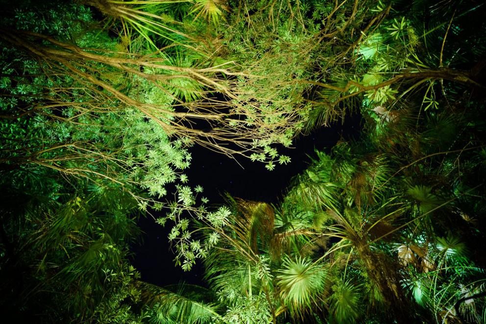 Galleria fotograficaChampagne&nbsp;Louis Roederer&nbsp;2009, Blanc de blancs
Pi&ntilde;uela e tamarindo
Pi&ntilde;uela&nbsp;e tamarindo, da vicino
Vongola regina dal golfo di California
La vongola da vicino
Saluto con pomodori disidratati e chapulines&nbsp;
Brodo freddo di masa con lime e fiori del momento
Mead, birrificio&nbsp;Escollo, stato di&nbsp;Quer&eacute;taro
Cocco giovane e caviale
Vino: Presencia Casual 2014, da uve Semillon,&nbsp;Luis-Antoine Luyt, Cile
Frutta tropicale e Chile de arbol (peperoncino Coda di topo)
Frutta locale
Ceviche di banana e olio di alghe kelp
Alga kelp gigante e michelada di cozze
Taco di spinaci Chaya&nbsp;con ostriche fresche dalla Bahia Falsa (Baja California)
Il taco da vicino
Amber ale del&nbsp;birrificio Cebia,&nbsp;Merida
Zucca grigliata per intero
