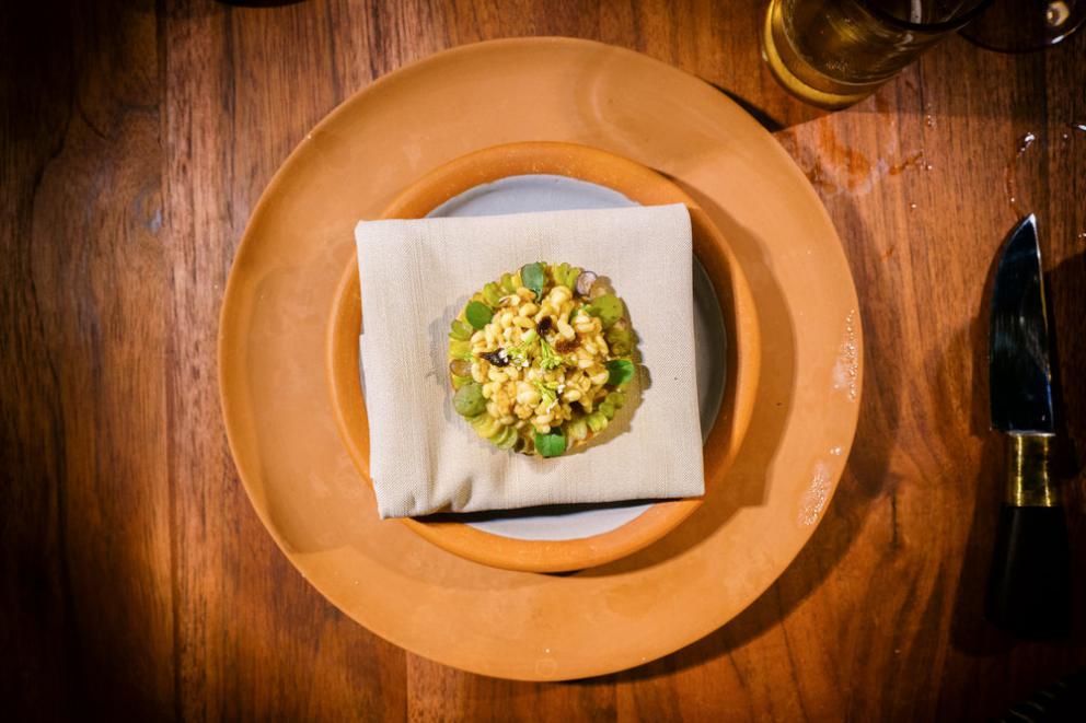 Galleria fotograficaChampagne&nbsp;Louis Roederer&nbsp;2009, Blanc de blancs
Pi&ntilde;uela e tamarindo
Pi&ntilde;uela&nbsp;e tamarindo, da vicino
Vongola regina dal golfo di California
La vongola da vicino
Saluto con pomodori disidratati e chapulines&nbsp;
Brodo freddo di masa con lime e fiori del momento
Mead, birrificio&nbsp;Escollo, stato di&nbsp;Quer&eacute;taro
Cocco giovane e caviale
Vino: Presencia Casual 2014, da uve Semillon,&nbsp;Luis-Antoine Luyt, Cile
Frutta tropicale e Chile de arbol (peperoncino Coda di topo)
Frutta locale
Ceviche di banana e olio di alghe kelp
Alga kelp gigante e michelada di cozze
Taco di spinaci Chaya&nbsp;con ostriche fresche dalla Bahia Falsa (Baja California)
Il taco da vicino
Amber ale del&nbsp;birrificio Cebia,&nbsp;Merida
Zucca grigliata per intero
Una notte sotto le stelle
