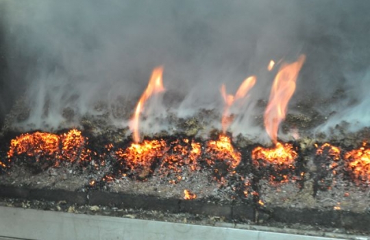 Galleria fotografica






Scozia, regione di Argyle, sud-ovest del Paese








Loch Fyne è il fiordo più noto di Argyle e anche il più lungo del Paese. Loch in gaelico significa "lago", fyne "fiordo"








Nei dintorni, colline dolci, larici, pini e abeti








Al largo si scorgono delle gabbie di acquacoltura








Disinfettare bene i piedi prima di salire sulla chiatta








Sulla chiatta, verso le gabbie dei salmoni








L’acqua in cui sguazzano i salmoni è pulita, filtrata, ricca di sali minerali








Ecco la gabbia: sono una decina in tutto, di larghezza variabile, profonde fino a 28 metri








Nuotano in circolo 30mila salmoni per gabbia. Ogni esemplare ha a disposizione 98,5 litri d’acqua per ogni chilo e mezzo di peso, uno dei più elevati del Paese








Ecco il salmone! Sono esemplari nati da uova di salmoni-riproduttori, pescati in mare e mantenuti in cattività nelle avannotterie








Al largo, accanto alle gabbie, c'è anche la base che monitora costantemente i pesci e la distribuzione (automatica) del cibo. Mangime non Ogm selezionato, integrato da proteine di origine vegetale che riducono l’utilizzo di fauna ittica utilizzata per produrre farine di pesce













Raggiunti i 3-4 anni d'età - cioè il peso di 4-6 chili, toccato in circa 8-900 giorni di acquacoltura, dei quali metà passati in acqua dolce e metà in acqua salata, per assecondare il loro istinto naturale - i salmoni vengono pescati e immediatamente riposti nel ghiaccio, accorgimento fondamentale per mantenere rigida la carne








Le lavorazioni successive vengono effettuate entro e non oltre le 15 ore dalla pesca, nel laboratorio di Cairndow, il quartier generale di Loch Fyne a un passo dalle stesse acque in cui nuotano i salmoni








I salmoni sono lavati con la stessa acqua in cui hanno nuotato fino a poco prima








E poi decapitati, spinati e sfilettati a mano


















Del salmone, come del tonno, non si butta via niente








Nel clima necessariamente polare che avvolge le operazioni, il personale di circa 60 persone è quasi interamente composto da donne. «Gli uomini non sono altrettanto precisi nell’affettare», scherzano le impiegate infagottate nelle tute sterili








Quanto lavoro? 40 ore a settimana 








I salmoni sono marinati a secco con sale e zucchero di canna








e poi sono messi nei forni di affumicatura per un intervallo di 12-24 ore, variabile a seconda della temperatura esterna













Trucioli di botte esauste da whisky: è il combustibile dell'affumicatura del salmone





