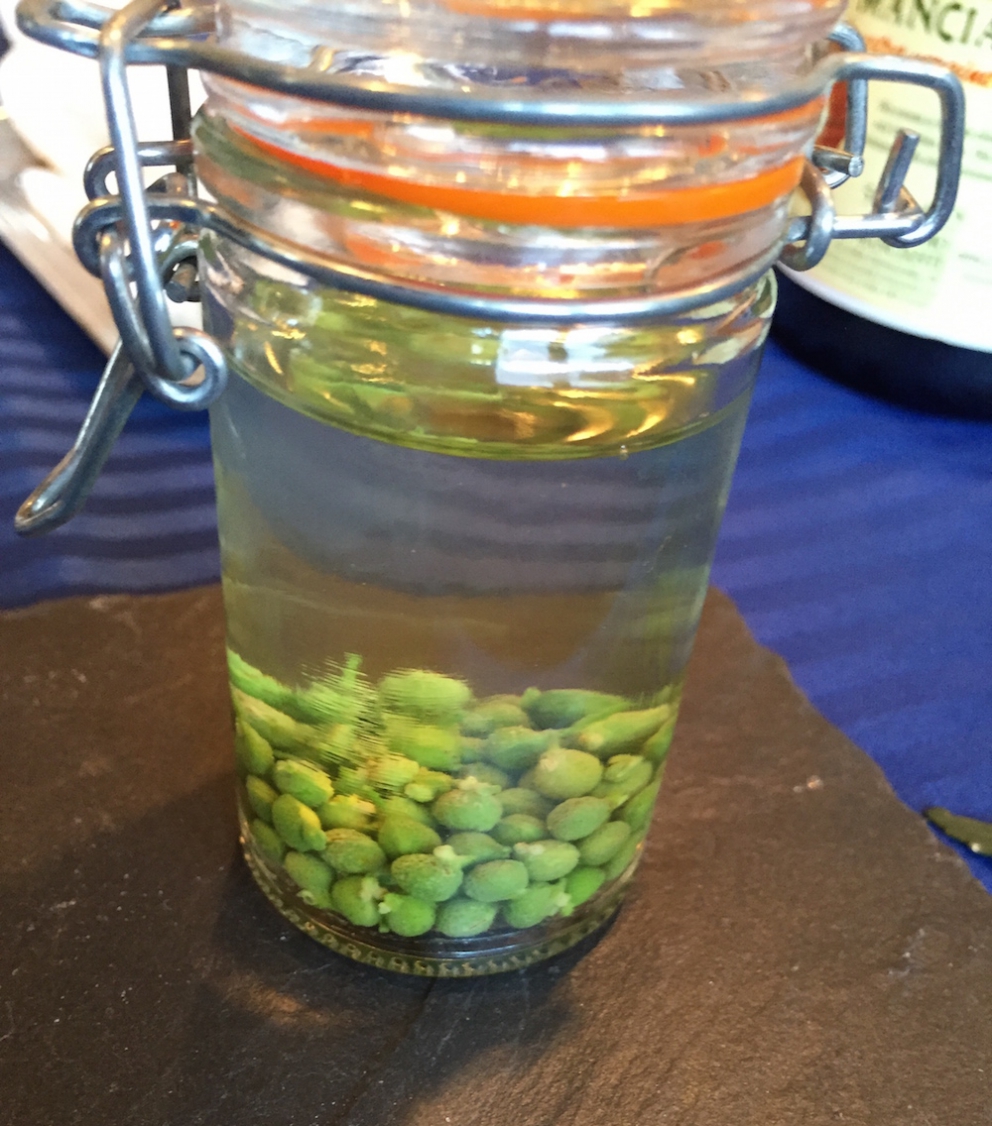 Galleria fotograficaKobe, un milione e mezzo di abitanti, &egrave; la capitale tranquilla della prefettura giapponese di Hyogo, a sua volta inserita nella macro-regione di Kansai, raggiungibile dall&rsquo;aeroporto internazionale di Osaka. Kobe dista da Osaka un&rsquo;oretta di macchina e 23 minuti di Shinkansen, i treni ad alta velocit&agrave; del Giappone. La tratta Kobe-Tokyo, circa 550 chilometri, si percorre in appena 2 ore e mezza
La prefettura di Hyogo - divisa nelle 4 province di Settsu (Kobe), Harima, Tamba e Tajima - unisce due coste: il mare del Giappone e il mare di Seto nel Pacifico a sud. Il suo simbolo &egrave; il castello di Himeji, patrimonio mondiale dell&rsquo;umanit&agrave; Unesco, eretto nel 1601. Tra poche settimane, tutt&rsquo;attorno, cominceranno a fiorire i ciliegi, uno spettacolo molto atteso&nbsp;(foto&nbsp;dronestagr.am)
La fama di Kobe accrebbe nel 1868 quando venne aperto il porto, che oggi dialoga con 500 altri porti di 130 paesi nel mondo. &Egrave; una tappa popolare per le navi da crociera. Kobe &egrave; un centro importante per le industrie pesanti e l&rsquo;acciaio: tra le altre, Kawasaki, Mitsubishi e Toshiba (foto seanews)

&nbsp;
Uno dei poli&nbsp;gastronomici pi&ugrave; vivaci di Kobe &egrave; sotterraneo, nel centro commerciale di Sogo. Decine di isole curatissime, con prodotti gastronomici di ogni genere. In primis, esercizi di patisserie e chocolaterie, una replica perfetta dei modelli francesi
Il pane &egrave; un simbolo importante per la gastronomia di Kobe, per i locali e per gli expat, circa 40mila residenti da tutto il mondo
I macaron, molto popolari nella Kobe bene
Passiamo alle meraviglie della gastronomia giapponese autentica: sempre sotto al centro commerciale Sogo, drappi di tessuto tinti con ideogrammi nascondono gli ingressi di piccole tavole a conduzione familiare, come questo teppanyiaki. Quattro tavoli in tutto, ognuno con piastra, per arroventarsi qualsiasi cosa. Nel nostro caso, soba meshi (noodle fritti con carne) e okonomiyaki, sorta di frittata. Vietato indossare maglioni pregiati
Nel centro di Kobe spunta anche una vivace Chinatown. Sono forti i legami commerciali tra la citt&agrave; giapponese e l&rsquo;isola cinese (con ambizioni irredentiste) di Taiwan
Le relazioni tra Kobe e Taiwan si sono rafforzate anche per un tragico destino comune: le calamit&agrave; naturali. Il terremoto di Kobe del 17 gennaio 1995 provoc&ograve; 6.400 vittime e 40mila feriti, danneggiando oltre 240mila palazzi. Nella foto, la prima sede del ristorante di cucina tradizionale Matsunoya dopo il sisma
Il ristorante Matsunoya &egrave; rinato in una nuova sede. Gli abbiamo dedicato un post
La chiusura del menu kaiseki del Matsunoya: t&egrave; matcha frullato per qualche secondo con canne di bamb&ugrave;, una preparazione molto popolare
Siamo accolti nel quartier generale della prefettura di Hyogo dal governatore in persona, il signor Toshizo Ido (nella foto, a destra). &laquo;Volevamo ringraziarvi anche per la nostra formidabile&nbsp;esperienza all&rsquo;Expo&raquo;, ci ha detto
I vasi di tulipani nel giardino della residenza del governatore di Hyogo
Dove comprare coltelli da cucina a Kobe? Coltelleria Kireaji-no-le, sulla Moto manchi dori, strada popolare per lo shopping
Con la pluri-premiata macelleria Moriya, passiamo al simbolo per cui la citt&agrave; portuale &egrave; famosa nel mondo: la carne di Kobe. Ottenuta da vitelli purosangue Tajima, vengono cresciuti per due anni negli allevamenti di Hyogo. Sulle sue caratteristiche di marmorizzazione abbiamo parlato diverse volte&nbsp;nei giorni di Expo. La curiosit&agrave; che non sapevamo &egrave; che fino al 1868, l&rsquo;anno in cui fu aperto il porto di Kobe, nessuno in citt&agrave; mangiava carne. Furono gli inglesi a insegnare loro l&rsquo;arte della macelleria. Purtroppo non riusciremo a visitare alcun allevamento. La motivazione ufficiale? &laquo;Dovreste stare qui a Kobe per almeno 80 giorni&raquo;, ci hanno spiegato gli interlocutori di Jetro Kobe, &laquo;solo da allora la vostra composizione batterica non risulter&agrave; pi&ugrave; nociva per i nostri bovini&raquo;
La carne di Kobe &egrave; servita in 37 insegne della citt&agrave; (e 300 in tutto il Giappone). Dove andare? Da Kobe Plaisir, al 2-11-5 della Shimoyamate, quartiere Chuo-ku
La lavagna del menu del ristorante Kobe Plaisir, un inno alla carne pi&ugrave; ambita del mondo
Lo chef del teppanyiaki, la spettacolare griglia di Kobe Plaisir
Sul suo vassoio, due meravigliose entrec&ocirc;te di carne di Kobe. Rosolate ai lati, rosse dentro, si squaglieranno in bocca
Impossibile chiedere una tartare di Kobe: vietate
Sulla griglia il ragazzo abbrustolir&agrave; anche cipolle, funghi, melanzane e rape
Comincia il tour lontano da Kobe, a caccia delle altre bont&agrave; della prefettura di Hyogo. Iniziamo dal miso dell&rsquo;azienda centenaria Rokko di Ashya. Se in Italia dici miso, pensi a un prodotto unico. Ma, cos&igrave; come non esiste &ldquo;la birra&rdquo; o il &ldquo;vino&rdquo;, cos&igrave; dobbiamo abituarci a pluralizzare un genere che l&rsquo;Occidente ingenuamente interpreta spesso come singolare. Esistono infinite variet&agrave; di miso, a seconda delle tecniche di lavorazione (bollitura in acqua o a vapore del riso), del tipo di ingredienti utilizzati (riso, ma anche segale o grano, che poi vengono uniti a fagioli neri di soia cotti) e dell&rsquo;arco temporale di fermentazione
A tavola, l&rsquo;impiego del miso non &egrave; limitato, come crediamo in Italia, alla sola zuppa in apertura del pasto (o alla fine delle maratone: gli atleti la bevono subito per sciogliere i muscoli induriti dai chilometri): la letteratura gastronomica giapponese abbonda di marinature di carne e pesce e dessert
Il futuro miso &egrave; messo a fermentare per due anni pressato da massi rocciosi, sotto al pavimento dell&rsquo;azienda Rokko. Questi miso sono pregiati perch&eacute; la loro salinit&agrave; &egrave; molto inferiore rispetto agli stessi simili pi&ugrave; cheap
