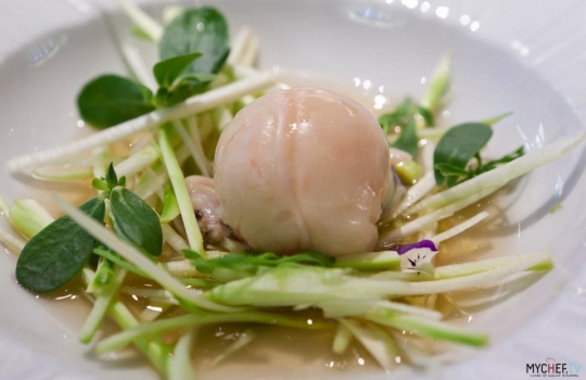 Galleria fotografica






A spasso tra i canali di Venezia. Esclusa l'estemporanea grandinata di domenica 24, la dodicesima edizione della S.Pellegrino Cooking Cup ha regalato un clima memorabile








Globetrotter, signature dish di Lorenzo Cogo alla Cooking Cup 2012








Il signature dish di Martin Volkaerts, belga dell'Air du Temps








Aragosta con vinaigrette d’ostrica e quinoa croccante, piatto che è valso a David Frenkel del Pronto di Tel Aviv, Israele, il People Choice’s Award 2012





