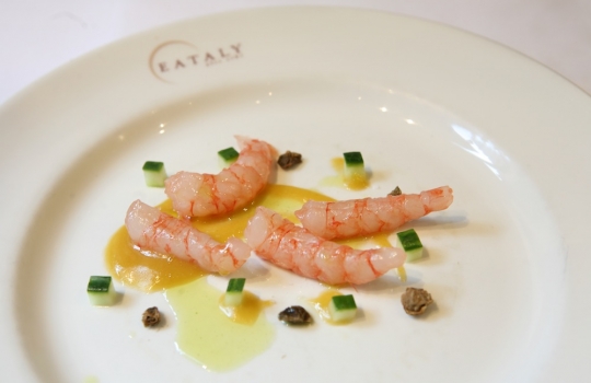 Galleria fotografica






Giuseppe Rambaldi del Combal.Zero, in sostituzione dello chef Davide Scabin, Mario Batali, Babbo e tanto altro a New York e Cesare Battisti, Ratanà a Milano








Ravioli gamberi e basilico con burro e zucca di Mario Batali








Penne con crema di peperoni di Cesare Battisti








Riccardo Felicetti e Pavia Rosati








Mario Batali e Alex Pilas, responsabile delle cucine di Eataly New York








Moreno Cedroni, ristorante Madonnina del Pescatore di Senigallia (Ancona) e Dave Pasternack, Esca a New York City








Baccalà e lepre in salsa di lamponi di Moreno Cedroni








Crudo con mele e rape di Dave Pasternack








Alessandra Rotondi, Moreno Cedroni e il suo sous chef Luca Abbadir








Berlucchi nei calici








I protagonisti della cena del primo giorno in Birreria di Eataly: Alex Pilas, Carlo Cracco, Matteo Monti, Mauro Uliassi, Giuseppe Rambaldi, Cesare Battisti, Mark Ladner, Katia Delogu, Mario Batali e Claudio Ceroni di Magenta Bureau








Appuntamento al buio, il dessert di Katia Delogu








Sala piena sul tetto di Eataly








Batali fotografa Massimo Bottura e Daniel Boulud, protagonisti della prima lezione del secondo giorno








Massimo Bottura, Sara Peirone di Lavazza e Paolo Marchi








Batali, Boulud, Bottura








Massimo Bottura, il suo secondo Takahiko Kondo e il neo-cuoco di Taglio a Milano Domenico Della Salandra








L'Uovo in gelatina di Daniel Boulud








Sara Jenkins, Porcena a New York e Mauro Uliassi, Uliassi a Senigallia (Ancona)








Audience attenta e divertita








Spaghettoni al pomodoro (di ogni colore e gusto, sei o sette tipi diversi) di Sara Jenkins





