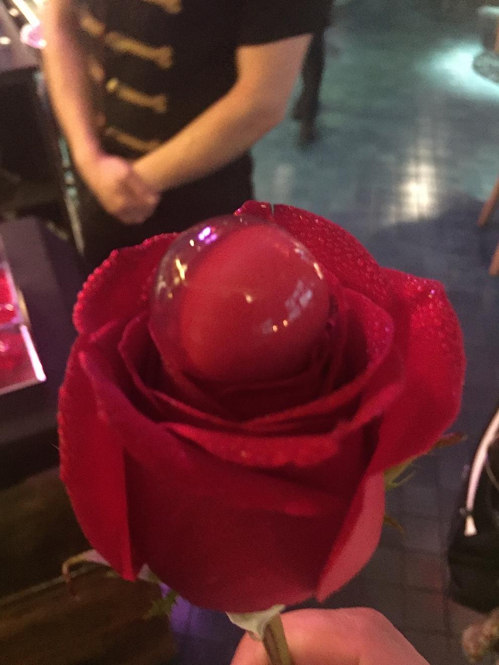 Galleria fotografica






Consommè de garbanzos. Prima che cominci il menu degustazione, viene portata al tavolo una bottiglia di vetro contenente del brodo freddo di ceci (in alto a destra). Ventitrè piatti dopo, alla fine del percorso "salato", verrà versato, in un bicchierino da grappa, del brodo caldo di jamon iberico da una teiera. Sopra ancora, la schiuma del brodo di ceci. Un caldo-freddo speciale (foto @ticketsbar instagram)









Tosta de pollo y anchoa. Primo piatto: toast di pelle di pollo con lisca di acciuga. A lato, una crema di acciughe composta da burro e pasta di acciughe









Olive Gordal. Uno dei simboli della saga Adrià: le olive sono immerse in un liquido d'olio extravergine d'oliva, cannella, buccia di limone e anice stellato. Si tirano su con un cucchiaino forato, si poggiano su una conchiglia di legno a lato e da qui in bocca. Gordal è una varietà dall'Andalusia









Prima preparazione rifinita al tavolo: Polo de almendras









Polo de almendras è uno stecco di gelato al latte di mandorle, spennellato sul posto con olio d'oliva e cosparso con granelle di mandorle, fiori di sambuco e sale. E' servito su un piatto con cubetti di ghiaccio. Dolce(salato) e gelato all'inizio del pasto e non alla fine, uno schema molto Adrià









Coliflor y caviar. Ganache di cavolfiore e caviale russo Schrenkii









Gamba a la sal fría. Gamberi marinati nel tè Lapsang Souchong con zest di bergamotto. Sono serviti su un vassoio con "neve di sale" per ricordare il ghiaccio tipico di un mercato del pesce









Atún con cerezas. Tonno e ciliegia: ventresca di tonno confit in grasso di prosciutto, accompagnata da una ciliegia affumicata (senza nocciolo)









Ceviche de melón cantaloup. Ceviche di melone cantalupo con succo di lime, coriandolo e leche de tigre di kumquat. Servito con kumquat, olio di coriandolo e neve di kumquat. Citrico alla terza









Pizza crujiente. La "pizza" di Tickets: millefoglie di regañà (torta di pane croccante di origini andaluse), stracciatella, bottarga e fichi









Porex de Calix. Marshmallow di dashi ripieno di crema acida e sormontato da caviale di Kalix, uova rosse svedesi di coregone, dalle note dolci ed eleganti









Nigiri de berenjena. Nigiri di melanzana









Cubo de wagyu. Cubo di chips di patata croccante con sopra una tartare di wagyu trattata con olio, sale, senape di Digione, uova e pepe. Una magnifica tapa da circa 2 cm per lato, che ricorda le battute al coltello della tradizione piemontese









Milhojas de atún. Millefoglie di tonno: millefoglie di patata e alga nori. In cima, tartare di tonno leggermente piccante con crema di avocado









Miniairbag de queso. Miniairbag di spuma di formaggio manchego, caviale di nocciola e polvere di buccia di nocciole









Airbaguette de rubia gallega: grissino-baguette vuoto avvolto da fettine di "prosciutto" marinato di rubia gallega, pregiata razza bovina galiziana









Encerradito de buey: involtino di ravioli di avocado con dentro granciporro con maionese di peperoncino chipotle e gelatina di coriandolo. Sotto c'è del pane sardo guttiau, sopra dei semi di chia. Un assaggio cremoso, grasso e vegetale in due bocconi magnifici









Foie y anguila. Foie gras d'anatra di Mitteault ripieno di anguilla avvolta in alga nori









Espardeña con panceta. Cetriolo di mare con la sua pelle fritta e wasabi, sopra una striscia di pancetta di prosciutto Joselito. Forse l'unico punto di domanda









Pulpo crujiente. Octopus tenero in panko (pangrattato giapponese piccante) croccante, accompagnato da cetrioli baby pickled









Cogollo con sorbete. Seconda preparazione rifnita al tavolo: cuore di lattuga accompagnato dal suo sorbetto ghiacciato con zest di rafano









Bogavante. Astice. L'unica non-tapa di tutto il percorso









Arriva il calice col Consommé freddo di ceci che rimane spumoso in cima e, sotto, il brodo caldo di jamon iberico (vedi prima slide)









Ci si alza dal tavolo e si va alla Dolça di Tickets, l'ambiente in cui si chiude il percorso coi dessert (foto elequipocreativo)






