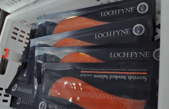 Galleria fotografica






Scozia, regione di Argyle, sud-ovest del Paese








Loch Fyne è il fiordo più noto di Argyle e anche il più lungo del Paese. Loch in gaelico significa "lago", fyne "fiordo"








Nei dintorni, colline dolci, larici, pini e abeti








Al largo si scorgono delle gabbie di acquacoltura








Disinfettare bene i piedi prima di salire sulla chiatta








Sulla chiatta, verso le gabbie dei salmoni








L’acqua in cui sguazzano i salmoni è pulita, filtrata, ricca di sali minerali








Ecco la gabbia: sono una decina in tutto, di larghezza variabile, profonde fino a 28 metri








Nuotano in circolo 30mila salmoni per gabbia. Ogni esemplare ha a disposizione 98,5 litri d’acqua per ogni chilo e mezzo di peso, uno dei più elevati del Paese








Ecco il salmone! Sono esemplari nati da uova di salmoni-riproduttori, pescati in mare e mantenuti in cattività nelle avannotterie








Al largo, accanto alle gabbie, c'è anche la base che monitora costantemente i pesci e la distribuzione (automatica) del cibo. Mangime non Ogm selezionato, integrato da proteine di origine vegetale che riducono l’utilizzo di fauna ittica utilizzata per produrre farine di pesce













Raggiunti i 3-4 anni d'età - cioè il peso di 4-6 chili, toccato in circa 8-900 giorni di acquacoltura, dei quali metà passati in acqua dolce e metà in acqua salata, per assecondare il loro istinto naturale - i salmoni vengono pescati e immediatamente riposti nel ghiaccio, accorgimento fondamentale per mantenere rigida la carne








Le lavorazioni successive vengono effettuate entro e non oltre le 15 ore dalla pesca, nel laboratorio di Cairndow, il quartier generale di Loch Fyne a un passo dalle stesse acque in cui nuotano i salmoni








I salmoni sono lavati con la stessa acqua in cui hanno nuotato fino a poco prima








E poi decapitati, spinati e sfilettati a mano


















Del salmone, come del tonno, non si butta via niente








Nel clima necessariamente polare che avvolge le operazioni, il personale di circa 60 persone è quasi interamente composto da donne. «Gli uomini non sono altrettanto precisi nell’affettare», scherzano le impiegate infagottate nelle tute sterili








Quanto lavoro? 40 ore a settimana 








I salmoni sono marinati a secco con sale e zucchero di canna








e poi sono messi nei forni di affumicatura per un intervallo di 12-24 ore, variabile a seconda della temperatura esterna













Trucioli di botte esauste da whisky: è il combustibile dell'affumicatura del salmone













Il salmone uscirà con sentori affumicati non troppo pronunciati








Manca poco al confezionamento










