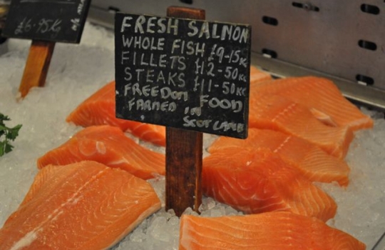Galleria fotografica






Scozia, regione di Argyle, sud-ovest del Paese








Loch Fyne è il fiordo più noto di Argyle e anche il più lungo del Paese. Loch in gaelico significa "lago", fyne "fiordo"








Nei dintorni, colline dolci, larici, pini e abeti








Al largo si scorgono delle gabbie di acquacoltura








Disinfettare bene i piedi prima di salire sulla chiatta








Sulla chiatta, verso le gabbie dei salmoni








L’acqua in cui sguazzano i salmoni è pulita, filtrata, ricca di sali minerali








Ecco la gabbia: sono una decina in tutto, di larghezza variabile, profonde fino a 28 metri








Nuotano in circolo 30mila salmoni per gabbia. Ogni esemplare ha a disposizione 98,5 litri d’acqua per ogni chilo e mezzo di peso, uno dei più elevati del Paese








Ecco il salmone! Sono esemplari nati da uova di salmoni-riproduttori, pescati in mare e mantenuti in cattività nelle avannotterie








Al largo, accanto alle gabbie, c'è anche la base che monitora costantemente i pesci e la distribuzione (automatica) del cibo. Mangime non Ogm selezionato, integrato da proteine di origine vegetale che riducono l’utilizzo di fauna ittica utilizzata per produrre farine di pesce













Raggiunti i 3-4 anni d'età - cioè il peso di 4-6 chili, toccato in circa 8-900 giorni di acquacoltura, dei quali metà passati in acqua dolce e metà in acqua salata, per assecondare il loro istinto naturale - i salmoni vengono pescati e immediatamente riposti nel ghiaccio, accorgimento fondamentale per mantenere rigida la carne








Le lavorazioni successive vengono effettuate entro e non oltre le 15 ore dalla pesca, nel laboratorio di Cairndow, il quartier generale di Loch Fyne a un passo dalle stesse acque in cui nuotano i salmoni








I salmoni sono lavati con la stessa acqua in cui hanno nuotato fino a poco prima








E poi decapitati, spinati e sfilettati a mano


















Del salmone, come del tonno, non si butta via niente








Nel clima necessariamente polare che avvolge le operazioni, il personale di circa 60 persone è quasi interamente composto da donne. «Gli uomini non sono altrettanto precisi nell’affettare», scherzano le impiegate infagottate nelle tute sterili








Quanto lavoro? 40 ore a settimana 








I salmoni sono marinati a secco con sale e zucchero di canna








e poi sono messi nei forni di affumicatura per un intervallo di 12-24 ore, variabile a seconda della temperatura esterna













Trucioli di botte esauste da whisky: è il combustibile dell'affumicatura del salmone













Il salmone uscirà con sentori affumicati non troppo pronunciati








Manca poco al confezionamento













Tanti i formati previsti. Il più apprezzato in Italia è il Kinglas Fillet, il filettino centrale, "cuore" della spalla, chiamato anche “lingotto” per la forma








Tanti i tagli di salmone fresco e affumicato e numerose marinature, dal whisky al Citrus and Black pepper





