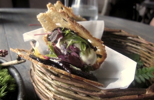 Galleria fotografica






In cammino verso il Noma. Il ristorante è al piano terra del palazzone più a sinistra. Per arrivarci dalla popolare insenatura di Nyhavn (il punto da cui è scattata la foto), occorre fare un bel giro. Ma si notano i lavori per la costruzione di un ponte. Che condurrà dritto all'insegna








Altra prospettiva sul Noma da Nyhavn. Il ristorante galleggia sulla Christianshavn, una delle tante isole artificiali che compongono Copenhagen








Di là del fiume, sulla lunga via che conduce allo spiazzo del Noma








Uno scenario molto tranquillo, di case pastello. Il silenzio è perché vanno tutti in bici













Al massimo si sente rombare qualche scafo








Il vascello davanti al Noma. Oltre a quella danese, sventolano le bandiere di Isole Far Oer e Groenlandia: le loro ambasciate sono nello stesso palazzo del ristorante. Coerenza nordica








Il retro del ristorante. L'80% delle 80 persone che lavorano al Noma viene a lavorare in bici, chef incluso








Dietro al ristorante, un'iscrizione ricorda i passeggeri scomparsi a bordo della danese Hans Hedtoft. Il transatlantico si scontrò il 30 gennaio 1959 contrò un iceberg in Groenlandia. Fu ritrovata solo una cintura di sicurezza
 








L'ingresso del ristorante, al civico 93 di Strandgade








La vista, ingresso alle spalle








Tra l'ingresso e la cucina a vista, spicca un corner di decoro simil-giapponese. A sinistra s'intravede Noma, time and place in Nordic Cuisine, edizioni Phaidon, un testo fondamentale per approfondire tutti i rivoli del Redzepi-mondo. La versione italiana si ordina qui








Una pianta di piccoli agrumi orla la cucina a vista








La porta d'ingresso vista dalla cucina








Le sedie, molto comode, sono anni Sessanta con schienali foderati di pelle di pecora, alcune più morbide di altre








I tavoli sono ampi e senza tovaglie. Attorno prevale il grigio e i colori rustici, sulle travi in legno del soffitto ma anche sulle divise dei ragazzi di sala








La finestra accanto al nostro tavolo








E' lo chef Rene Redzepi a introdurci al pasto: in un vaso di fiori danesi, l'unico pendaglio commestibile è una sorta di carta musica croccante (flatbread) di farina di malto all'aroma di ginepro. Nel piattino in basso, una deliziosa crème fraîche acida per intingerlo








Il flatbread è quello che svetta. "Ma se ci tenete, provate a mangiare anche i fiori", scherza Redzepi. Il cuoco scompare nelle segrete del Noma. Lo ritroveremo solo alla fine del pasto








Tutti i 14 appetizer si mangeranno con le mani. Unica posata, il coltello per tirar su e leccare la crème fraîche da sola (da fare quando tutti gli altri clienti son distratti, però)








Moss and Cep: Muschio di renna con polvere di funghi porcini. E' il corpo bianco, molto saporito ed evanescente, da intingere anch'esso nella crème fraîche
 








Crispy pork skin and black currant: Pelle di maiale croccante e ribes nero, lo strato più esterno. Aspro e croccante








Il ribes nero non ci lascerà prima di molto tempo








Blue mussels and celery: cozze e sedano. Solo due sono quelle buone








La parte inferiore del guscio è commestibile (ancora farina di malto)








Il quinto appetizer è nascosto in una deliziosa scatola di biscotti in latta della tradizione danese (chi non ricorda i Danish butter cookies?)








Cinque tondini, ma solo due "interessanti"








Si chiamano Cheese cookies, rocket and stems, letteralmente Biscotti al formaggio, ruchetta e gambi di erbe aromatiche, un felice snack potenzialmente riproducibile nei nord e nei sud del mondo








Appetizer #6: Potato and duck liver, Patate e fegato d'anatra: le patate croccanti sono in due strati e a mo' di sandwich racchiudono la mousse di fegato. La spolverata è di funghi trombette dei morti, disidratati e polverizzati, una tecnica che troveremo frequentemente








Dried carrot and sorrel, Carote grigliate a fuoco lento per 14 ore, disidratate e servite su polvere di fieno. Si intingono nell'emulsione di acetosella accanto. Un grande piatto perché di inattesa, energica acidità








Ottava entrée: Caramelized milk and cod liver, Biscotto di latte caramellato e fegato di merluzzo, quest'ultimo ghiacciato e pulito. Il secondo dona un aroma molto strong, che domina sul biscotto croccante. Per palati muscolari








Le uova dentro l'uovo








Pickled and smoked quails eggs, Uova di quaglia sbollentate, marinate e affumicate, un classico del Noma. Il tuorlo è completamente liquido








Col Veal fibres and söl, Filamenti di vitello e söl, decimo appetizer, entra in gioco per la prima volta un'alga di mare. E' il söl, appunto, dulse in inglese, Palmaria palmata nella tassonomia scientifica, un'alga rossa incastrata nei filamenti di vitello precedentemente tagliati sottili e poi fritti. Curioso l'impiatto a nido di ingredienti che alla fine incastrano terra e mare








Herb Toast and smoked cod roe, Toast alle erbe e uova di merluzzo affumicato, un'altra grandiosa tapa nordica da far su in due bocconi. Se non ricordiamo male, lo strato superiore è brodo di fegato d'anatra disidratato








Radish, soil and grass, Rapanello, "suolo" ed erba, un altro grande classico del Noma, un paesaggio commestibile di chiara genesi basca-adrianesca, molto replicato negli anni. Carote baby e rapanelli sono interrati in un "suolo" che è una crema di farina di malto con nocciole disidratate. Sotto ancora, uno yogurt di erbe. Finite le verdure, abbiamo chiesto dei cucchiaini per ripulire il suolo








Una foto (di spreadbutter) chiarisce meglio il contenuto del vasetto








Æbleskiver e muikku, penultimo appetizer, di concezione piuttosto recente. Un'antica tradizione dolce danese (Æbleskiver significa "piccoli pezzi di mela" ma la mela qui non c'è) è presentata in versione salata. Code e teste dei muikku, sorta di aringhe baby, sono infilzate in due bigné dall'impasto molto morbido con del ripieno di cetriolo marinato, ben riconoscibile al palato. L'aspetto dispone il cliente alla sfida ma la sua bizzarria visiva si scioglie presto in due bocconi morbidi, eleganti e deliziosi








Ultimo di 14 appetizer: Sorrel leaf and cricket paste, Foglia di acetosella (leggermente piccante) con pasta di grillo. Sì, proprio l'insetto dei prati, qui in consistenza di crema, inserita nel gambo dell'acetosella. Mettendo a fermentare grilli e orzo fermentato, Redzepi ha ottenuto una sorta di garum molto interessante, simile alla soia. Completa il piatto in foto, una granita di nasturzio ghiacciato








E il vino? Non producendo la Danimarca nettari di rilievo, è forse il capitolo meno allettante del Noma. La carta è un trionfo di vini ottenuti in climi freddi: francesi, tedeschi o austriaci soprattutto. Vini di acidità spinta che si combinano bene con le prevalenti acidità dei piatti. Le persone inquadrate nella foto hanno optato per il pairing coi succhi di frutta, quelli sì interessanti e autoctoni: il percorso prevede 7-8 succhi tra cui carote e ginepro, sedano e sedanorapa, cetriolo, eccetera. E i vini italiani? Pochi e tutti rossi, soprattutto di produttori di nebbiolo del Piemonte. "Ma li chiedono solo i norvegesi", ci raccontano








Terminati appetizer e main courses, sbirciamo i lavori in cucina. In primo piano, Samuel Nutter, sous chef inglese








Al centro, riconosciamo Matthew Orlando di San Diego, 35 anni e da 4 e mezzo head chef del Noma. Più tardi ci rivelerà che entro un paio d'anni aprirà il suo ristorante a Copenhagen. "E Renè che ne pensa?", chiediamo. "E' proprio lui a incoraggiarci a metterci in proprio", risponde Orlando. Vero, chiedere anche a Christian Puglisi








Ancora Orlando ci spiegherà che, tra sala, cucina, preparazioni e laboratorio, il Noma arriva a impiegare dall'alba a mezzanotte fino a 80 persone








La cucina prevede 7 comparti: il caldo, il freddo, la pasticceria, gli snack, produzione e mise-en-place, le preparazioni della squadra del mattino e la ricerca (su quest'ultima torneremo più avanti). Gli stagisti scelgono di lavorarci, sapendo di non essere pagati. Redzepi riceve un centinaio di curricula a settimana








Torniamo a tavola e troviamo nuove posate: rami appuntiti di sambuco








Servono a infilzare il primo delle portate "serie", Potato and snails, patate e lumache, servito in due piatti. Il primo è una terrina (rovente) di piccole deliziose patate affumicate e semiaffogate in una salsa al burro dolce e al tavolo spolverate con sale proprio di sambuco. Accanto, piccoli ceppi d'albero affumicati








Accanto, l'altra metà del piatto da infilzare coi bastoncini di sambuco: lumache glassate nel loro succo con burro dolce, olio al prezzemolo ed emulsione di piselli fermentati








Dopo 15 portate arrivano le posate. "Si torna alla civiltà", scherza il ragazzo di sala








...e arriva pure il pane, nascosto in una stoffa soffice con accanto due ciotoline che contengono burro da latte di capra e burro di grasso e crumble di maiale. Colesterolemici, vade retro








Solleviamo la stoffa: il pane è una pagnotta di lievito naturale di grano locale. La crosta è super-fragrante e il cuore molto sofficie e poroso








Cooked fava beans and beach herbs, Fave stufate gentilmente ed "erbe di spiaggia" (che poi sono diversi tipi di alghe di mare). Le fave sono fantastiche nella loro compattezza inaspettatamente dolce








Con la terza portata del ciclo "serio" veniamo ai ragazzi di sala: sono tutti molto professionali ma anche rilassati. Tra i 30 e i 40 anni, molti tatuati, ruotano di continuo al nostro tavolo: una trentina dei piatti sono stati serviti e illustrati da 10 camerieri diversi, molti dei quali cuochi dei livelli più alti della gerarchia. Il ragazzo in foto che ci serve Berries and cucumber, Bacche e cetrioli, si chiama Beau Clugston, è australiano e da poche ore è un nuovo sous-chef del Noma








Ai frutti di bosco e insalata di cetrioli si unisce del succo di camomilla...








...et voilà








Insalata di brown crab (granchi atlantici), tuorlo d'uovo, erbe di campo e il rosso sono le uova del granchio. I ragazzi si raccomandano di fare attenzione perchè potrebbe esserci del carapace o delle chele: la carne del granchio è stata rimossa tutta a mano. Noi ci scontriamo solo con un fresco schiaffo iodato








Accanto alle langoustine, scampi norvegesi, torna l'alga söl, questa volta in forma di emulsione con acqua di ostriche. I puntini rossi sono segale disidratata








Cavolfiore e pino, crema e rafano. Pensi a una capasanta e invece è un trancio di cavolfiore quello che spunta da sotto gli aghi di pino. E' ricavato dalla parte alta dell'ortaggio, arrostito a arricchito con gli aromi di pino, abete, ginepro e rafano. L'orto e il silvestre








Lucioperca con gambi di verdure. Impeccabile ma insolitamente classico nella sua concezione su salsa al burro e capperi. Incuriosisce la disposizione, che lascia intonsa più di metà del piatto. Come a voler lasciar libero il lucioperca di sguazzare di nuovo








Arrivano in tavola nuovi oggetti: olio di fieno e un cronometro. E' l'inizio del gioco di The hen and the egg, La gallina e l'uovo








The hen and the egg #2: attorno a un tegamino rovente su del fieno appena umido, notiamo una chips a spirale di patata e un uovo (d'anatra, ci dicono)








The hen and the egg #3: accanto al tegame, foglie di spinaci, aglio selvatico, germogli e fiori di campo vari








The hen and the egg #4. "Dovete rompere voi l'uovo e cuocerlo", ci spiegano armati di olio di fieno, che spruzzeranno nel tegame prima del nostro esercizio








The hen and the egg #5: son riuscito a non sbrodolare. Il piatto, spiegherà Redzepi poi, "E' un po' un invito sdrammatizzante a cucinare. Sono rimasto sorpreso dal fatto che tanti clienti non hanno mai rotto un uovo. Cerco di mostrare loro che la cucina è in fondo un esercizio molto elementare"








The hen and the egg #6: dopo 120 secondi esatti di cronometro, si uniscono all'uovo le verdure e si rimesta il tutto








The hen and the egg #7: tocco finale, una salsa di acetosella. Il piatto non è memorabile...








...ma il risultato è lo stesso delle 21 portate precedenti: piatto spazzolato The hen and the egg #8








Animelle di vitello, erbe di campo, funghi e sedanorapa. Un gran piatto, ma non esattamente quello che ti aspetti al Noma. Sottigliezze eh








A un passo dai dolci, il brusio in sala si fa più sostenuto. L'alcol e le discussioni sull'incredibile girandola di piatti provati








E il brusio lievita ancora al primo dei due dolci: Blueberries and ants, Mirtilli e formiche (la foto è di garyalanfine, avevo terminato le batterie). Il piatto è duplice: la foto mostra la prima metà, che racchiude una confettura di formiche tra due foglie di nasturzio. Ce la porta al tavolo Rosio Sanchez da Chicago, splendida coordinatrice dei dessert del Noma. E le formiche? Ci torniamo alla fine della gallery





