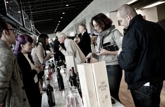 Galleria fotografica
















Luigi Taglienti e la sua Cipolla e quinto quarto





