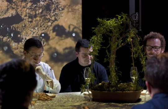 Galleria fotografica






Le prove generali





