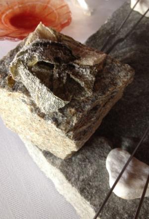 Galleria fotograficaCiocofoie
Un guscio di cioccolato 70% racchiude il ripieno di foie gras mi-cuit con qualche goccia di aceto balsamico tradizionale. Giusto per scaldare il motore
