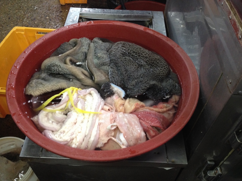 Galleria fotografica






Panoramica dal 32mo piano del Lotte Hotel di Seul. La capitale della Corea del Sud (che i locali pronunciano "sol"), con 10 milioni di abitanti (25 considerando tutta la proncia di Gyeonggi) è tra le città più popolose al mondo








Sfigurata nel Novecento dai Giapponesi (prima parte del secolo) e dalla guerra di Corea (1950-1953), oggi Seul ha un aspetto moderno, piuttosto occidentale








Con decine di milioni di turisti all'anno, Seul è tra le 10 città più visitate al mondo. Nella foto, una delle attrazioni più viste in città: il Dongdaemun Design Plaza, progettato da Zaha Adid e Samoo e completato nel marzo del 2014
 








A passeggio per il quartiere di Myeongdong, molto frequentato anche per l’alta concentrazione di ristoranti








Il viaggio era cominciato bene: tra le opzioni commestibili sui voli di Korean Air c’è proprio una squisita Bibimpap, con tanto di foglietto illustrativo








Bancarelle all’ingresso del mercato Namdaemun, tra i più popolari di Seul. Chiunque può andare e comprare; non occorrono licenze





