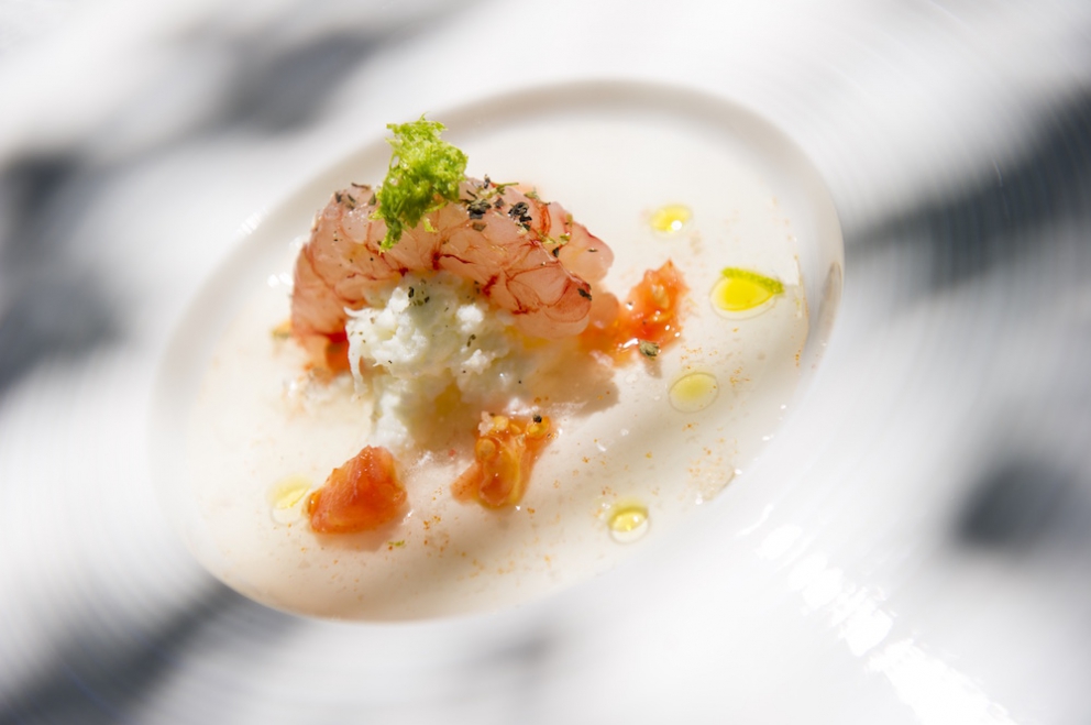 Galleria fotograficaA Salina esistono anche piante di capperi vecchie di oltre 150 anni, come questa
Maurizia De Lorenzo nel suo negozio-laboratorio
La "cura" dei capperi
