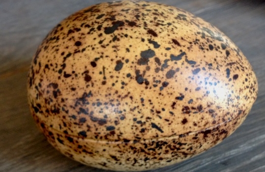 Galleria fotografica






In cammino verso il Noma. Il ristorante è al piano terra del palazzone più a sinistra. Per arrivarci dalla popolare insenatura di Nyhavn (il punto da cui è scattata la foto), occorre fare un bel giro. Ma si notano i lavori per la costruzione di un ponte. Che condurrà dritto all'insegna








Altra prospettiva sul Noma da Nyhavn. Il ristorante galleggia sulla Christianshavn, una delle tante isole artificiali che compongono Copenhagen








Di là del fiume, sulla lunga via che conduce allo spiazzo del Noma








Uno scenario molto tranquillo, di case pastello. Il silenzio è perché vanno tutti in bici













Al massimo si sente rombare qualche scafo








Il vascello davanti al Noma. Oltre a quella danese, sventolano le bandiere di Isole Far Oer e Groenlandia: le loro ambasciate sono nello stesso palazzo del ristorante. Coerenza nordica








Il retro del ristorante. L'80% delle 80 persone che lavorano al Noma viene a lavorare in bici, chef incluso








Dietro al ristorante, un'iscrizione ricorda i passeggeri scomparsi a bordo della danese Hans Hedtoft. Il transatlantico si scontrò il 30 gennaio 1959 contrò un iceberg in Groenlandia. Fu ritrovata solo una cintura di sicurezza
 








L'ingresso del ristorante, al civico 93 di Strandgade








La vista, ingresso alle spalle








Tra l'ingresso e la cucina a vista, spicca un corner di decoro simil-giapponese. A sinistra s'intravede Noma, time and place in Nordic Cuisine, edizioni Phaidon, un testo fondamentale per approfondire tutti i rivoli del Redzepi-mondo. La versione italiana si ordina qui








Una pianta di piccoli agrumi orla la cucina a vista








La porta d'ingresso vista dalla cucina








Le sedie, molto comode, sono anni Sessanta con schienali foderati di pelle di pecora, alcune più morbide di altre








I tavoli sono ampi e senza tovaglie. Attorno prevale il grigio e i colori rustici, sulle travi in legno del soffitto ma anche sulle divise dei ragazzi di sala








La finestra accanto al nostro tavolo








E' lo chef Rene Redzepi a introdurci al pasto: in un vaso di fiori danesi, l'unico pendaglio commestibile è una sorta di carta musica croccante (flatbread) di farina di malto all'aroma di ginepro. Nel piattino in basso, una deliziosa crème fraîche acida per intingerlo








Il flatbread è quello che svetta. "Ma se ci tenete, provate a mangiare anche i fiori", scherza Redzepi. Il cuoco scompare nelle segrete del Noma. Lo ritroveremo solo alla fine del pasto








Tutti i 14 appetizer si mangeranno con le mani. Unica posata, il coltello per tirar su e leccare la crème fraîche da sola (da fare quando tutti gli altri clienti son distratti, però)








Moss and Cep: Muschio di renna con polvere di funghi porcini. E' il corpo bianco, molto saporito ed evanescente, da intingere anch'esso nella crème fraîche
 








Crispy pork skin and black currant: Pelle di maiale croccante e ribes nero, lo strato più esterno. Aspro e croccante








Il ribes nero non ci lascerà prima di molto tempo








Blue mussels and celery: cozze e sedano. Solo due sono quelle buone








La parte inferiore del guscio è commestibile (ancora farina di malto)








Il quinto appetizer è nascosto in una deliziosa scatola di biscotti in latta della tradizione danese (chi non ricorda i Danish butter cookies?)








Cinque tondini, ma solo due "interessanti"








Si chiamano Cheese cookies, rocket and stems, letteralmente Biscotti al formaggio, ruchetta e gambi di erbe aromatiche, un felice snack potenzialmente riproducibile nei nord e nei sud del mondo








Appetizer #6: Potato and duck liver, Patate e fegato d'anatra: le patate croccanti sono in due strati e a mo' di sandwich racchiudono la mousse di fegato. La spolverata è di funghi trombette dei morti, disidratati e polverizzati, una tecnica che troveremo frequentemente








Dried carrot and sorrel, Carote grigliate a fuoco lento per 14 ore, disidratate e servite su polvere di fieno. Si intingono nell'emulsione di acetosella accanto. Un grande piatto perché di inattesa, energica acidità








Ottava entrée: Caramelized milk and cod liver, Biscotto di latte caramellato e fegato di merluzzo, quest'ultimo ghiacciato e pulito. Il secondo dona un aroma molto strong, che domina sul biscotto croccante. Per palati muscolari





