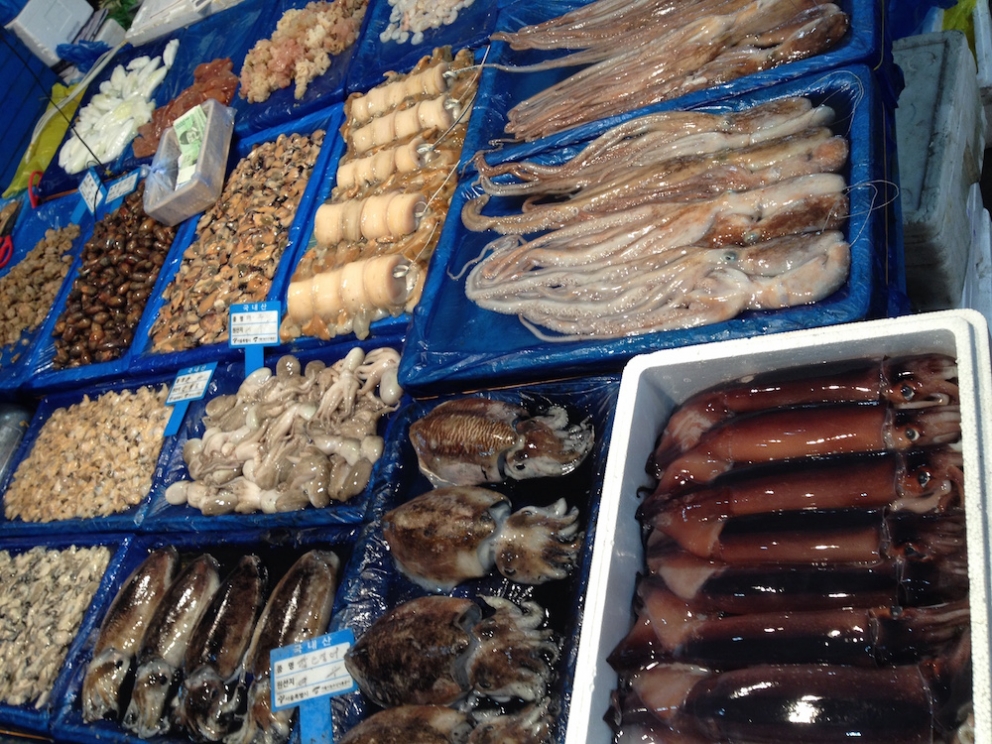 Galleria fotografica






Panoramica dal 32mo piano del Lotte Hotel di Seul. La capitale della Corea del Sud (che i locali pronunciano "sol"), con 10 milioni di abitanti (25 considerando tutta la proncia di Gyeonggi) è tra le città più popolose al mondo








Sfigurata nel Novecento dai Giapponesi (prima parte del secolo) e dalla guerra di Corea (1950-1953), oggi Seul ha un aspetto moderno, piuttosto occidentale








Con decine di milioni di turisti all'anno, Seul è tra le 10 città più visitate al mondo. Nella foto, una delle attrazioni più viste in città: il Dongdaemun Design Plaza, progettato da Zaha Adid e Samoo e completato nel marzo del 2014
 








A passeggio per il quartiere di Myeongdong, molto frequentato anche per l’alta concentrazione di ristoranti








Il viaggio era cominciato bene: tra le opzioni commestibili sui voli di Korean Air c’è proprio una squisita Bibimpap, con tanto di foglietto illustrativo








Bancarelle all’ingresso del mercato Namdaemun, tra i più popolari di Seul. Chiunque può andare e comprare; non occorrono licenze








Namdaemun, trippa a mollo








L’affitto di una bancarella al Namdaemun costa circa 2.000 dollari americani al mese, ma consente un ricavo medio mensile di almeno il doppio








Cozze giganti, molto popolari sulle tavole coreane





