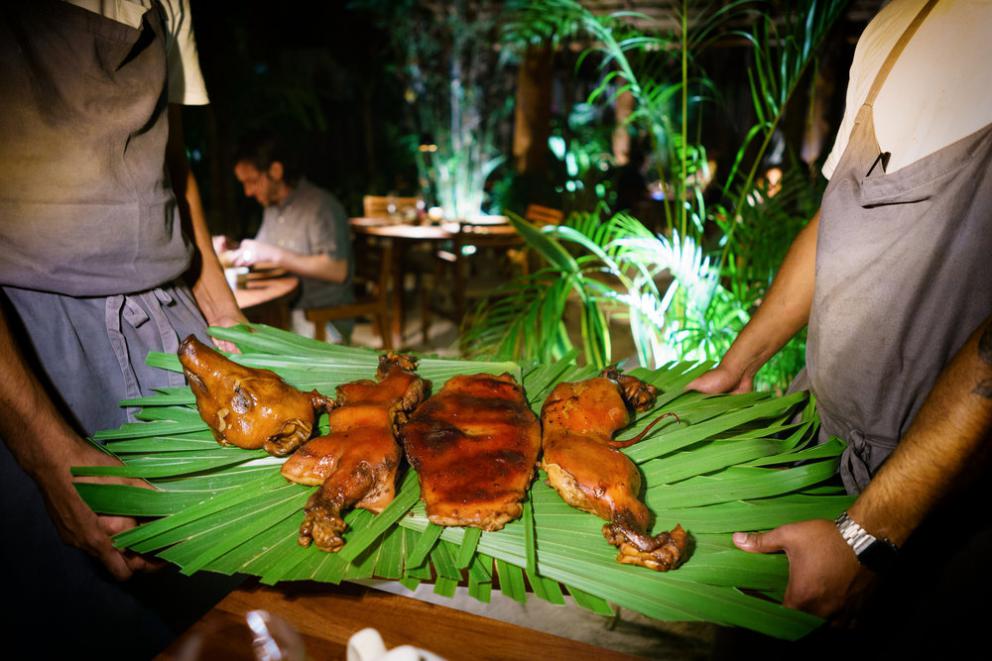 Galleria fotograficaChampagne&nbsp;Louis Roederer&nbsp;2009, Blanc de blancs
Pi&ntilde;uela e tamarindo
Pi&ntilde;uela&nbsp;e tamarindo, da vicino
Vongola regina dal golfo di California
La vongola da vicino
Saluto con pomodori disidratati e chapulines&nbsp;
Brodo freddo di masa con lime e fiori del momento
Mead, birrificio&nbsp;Escollo, stato di&nbsp;Quer&eacute;taro
Cocco giovane e caviale
Vino: Presencia Casual 2014, da uve Semillon,&nbsp;Luis-Antoine Luyt, Cile
Frutta tropicale e Chile de arbol (peperoncino Coda di topo)
Frutta locale
Ceviche di banana e olio di alghe kelp
Alga kelp gigante e michelada di cozze
Taco di spinaci Chaya&nbsp;con ostriche fresche dalla Bahia Falsa (Baja California)
Il taco da vicino
Amber ale del&nbsp;birrificio Cebia,&nbsp;Merida
Zucca grigliata per intero
Una notte sotto le stelle
Tostada con escamoles (larve di formiche)
La tostada da vicino
Birra Golden Sour del birrifico&nbsp;Wendlandt di&nbsp;Ensenada (Messico)
Polpo appena cotto in crosta di sale masa
Il polpo cotto su salsa dzikilpak
Ancora il polpo
Tortillas da Yaxunah
Altre tortillas
Epazote, pomodoro verde e mezcal
Lo chef Ren&egrave; Redzepi
