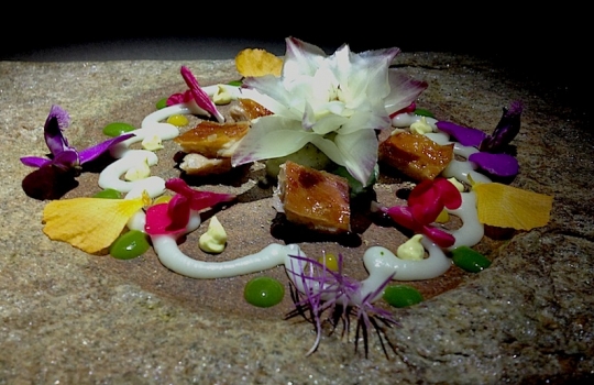 Galleria fotografica






Le prove generali








Prove del primo atto: al centro, il Bonsai di pica-pica


















Comincia la nostra esperienza: occhio all'indirizzo del centro Arts Santa Monica








Fuori staziona il van di Girona con tutto il nécessaire commestibile








Dentro, la targa coi ringraziamenti a tutti coloro che hanno lavorato al progetto








Per arrivare al set dell'opera si attraversa una mostra che proietta in oblò teaser coi motivi anticipatori di quel che troveremo dentro








Un altro teaser








Il set prima delle trasmissioni













Si parte








Una spirale ci introduce al viaggio








Al centro del tavolo, nascosto tra bonsai (un classico rochiano), pica-pica di bon bon rappresentativi di vari paesi: cevice peruviano, guacamole messicano, cous-cous marocchino...








Commensali spiazzati








Il sogno ha inizio: l'atto primo mette in tavola la Luna, sfere di tartufo bianco e nero con distillato terrestre








Intorno, un video di Franc Aleu, le musiche di Luca Francesconi e il tableware di Taller Luesma Vega








La luna








Atto secondo: lo spazio








Piatto dello spazio: aria di fichi di Cap de Creus








C'è un calice diverso per ogni atto: si passa dal cava agli champagne, dall'Armagnac ai Rioja a semplici gocce di distillati, versati anche sulla mano








Intorno, un altro splendido 3D di Franc Aleu, con le musiche di Sergi Caballero, Pedro Alcade








E' l'ofiuco, il tredicesimo segno zodiacale, tema del terzo atto













Atto quarto: Under the Sea, il set  diventa uno scenario sottomarino (vedi video 1)













E a tavola arriva una composizione golosissima di piatti di mare, servita in sculture di Pere Gifre e Dani Molina: vellutata di ricci grigliati, anemoni impanati, parmentier di octopus, marinata di frutti di mare e cirripedi













Tra un atto e l'altro, la voce calma di Josep Roca















