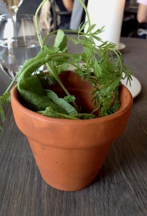 Galleria fotografica






In cammino verso il Noma. Il ristorante è al piano terra del palazzone più a sinistra. Per arrivarci dalla popolare insenatura di Nyhavn (il punto da cui è scattata la foto), occorre fare un bel giro. Ma si notano i lavori per la costruzione di un ponte. Che condurrà dritto all'insegna








Altra prospettiva sul Noma da Nyhavn. Il ristorante galleggia sulla Christianshavn, una delle tante isole artificiali che compongono Copenhagen








Di là del fiume, sulla lunga via che conduce allo spiazzo del Noma








Uno scenario molto tranquillo, di case pastello. Il silenzio è perché vanno tutti in bici













Al massimo si sente rombare qualche scafo








Il vascello davanti al Noma. Oltre a quella danese, sventolano le bandiere di Isole Far Oer e Groenlandia: le loro ambasciate sono nello stesso palazzo del ristorante. Coerenza nordica








Il retro del ristorante. L'80% delle 80 persone che lavorano al Noma viene a lavorare in bici, chef incluso








Dietro al ristorante, un'iscrizione ricorda i passeggeri scomparsi a bordo della danese Hans Hedtoft. Il transatlantico si scontrò il 30 gennaio 1959 contrò un iceberg in Groenlandia. Fu ritrovata solo una cintura di sicurezza
 








L'ingresso del ristorante, al civico 93 di Strandgade








La vista, ingresso alle spalle








Tra l'ingresso e la cucina a vista, spicca un corner di decoro simil-giapponese. A sinistra s'intravede Noma, time and place in Nordic Cuisine, edizioni Phaidon, un testo fondamentale per approfondire tutti i rivoli del Redzepi-mondo. La versione italiana si ordina qui








Una pianta di piccoli agrumi orla la cucina a vista








La porta d'ingresso vista dalla cucina








Le sedie, molto comode, sono anni Sessanta con schienali foderati di pelle di pecora, alcune più morbide di altre








I tavoli sono ampi e senza tovaglie. Attorno prevale il grigio e i colori rustici, sulle travi in legno del soffitto ma anche sulle divise dei ragazzi di sala








La finestra accanto al nostro tavolo








E' lo chef Rene Redzepi a introdurci al pasto: in un vaso di fiori danesi, l'unico pendaglio commestibile è una sorta di carta musica croccante (flatbread) di farina di malto all'aroma di ginepro. Nel piattino in basso, una deliziosa crème fraîche acida per intingerlo








Il flatbread è quello che svetta. "Ma se ci tenete, provate a mangiare anche i fiori", scherza Redzepi. Il cuoco scompare nelle segrete del Noma. Lo ritroveremo solo alla fine del pasto








Tutti i 14 appetizer si mangeranno con le mani. Unica posata, il coltello per tirar su e leccare la crème fraîche da sola (da fare quando tutti gli altri clienti son distratti, però)








Moss and Cep: Muschio di renna con polvere di funghi porcini. E' il corpo bianco, molto saporito ed evanescente, da intingere anch'esso nella crème fraîche
 








Crispy pork skin and black currant: Pelle di maiale croccante e ribes nero, lo strato più esterno. Aspro e croccante








Il ribes nero non ci lascerà prima di molto tempo








Blue mussels and celery: cozze e sedano. Solo due sono quelle buone








La parte inferiore del guscio è commestibile (ancora farina di malto)








Il quinto appetizer è nascosto in una deliziosa scatola di biscotti in latta della tradizione danese (chi non ricorda i Danish butter cookies?)








Cinque tondini, ma solo due "interessanti"








Si chiamano Cheese cookies, rocket and stems, letteralmente Biscotti al formaggio, ruchetta e gambi di erbe aromatiche, un felice snack potenzialmente riproducibile nei nord e nei sud del mondo








Appetizer #6: Potato and duck liver, Patate e fegato d'anatra: le patate croccanti sono in due strati e a mo' di sandwich racchiudono la mousse di fegato. La spolverata è di funghi trombette dei morti, disidratati e polverizzati, una tecnica che troveremo frequentemente








Dried carrot and sorrel, Carote grigliate a fuoco lento per 14 ore, disidratate e servite su polvere di fieno. Si intingono nell'emulsione di acetosella accanto. Un grande piatto perché di inattesa, energica acidità








Ottava entrée: Caramelized milk and cod liver, Biscotto di latte caramellato e fegato di merluzzo, quest'ultimo ghiacciato e pulito. Il secondo dona un aroma molto strong, che domina sul biscotto croccante. Per palati muscolari








Le uova dentro l'uovo








Pickled and smoked quails eggs, Uova di quaglia sbollentate, marinate e affumicate, un classico del Noma. Il tuorlo è completamente liquido








Col Veal fibres and söl, Filamenti di vitello e söl, decimo appetizer, entra in gioco per la prima volta un'alga di mare. E' il söl, appunto, dulse in inglese, Palmaria palmata nella tassonomia scientifica, un'alga rossa incastrata nei filamenti di vitello precedentemente tagliati sottili e poi fritti. Curioso l'impiatto a nido di ingredienti che alla fine incastrano terra e mare








Herb Toast and smoked cod roe, Toast alle erbe e uova di merluzzo affumicato, un'altra grandiosa tapa nordica da far su in due bocconi. Se non ricordiamo male, lo strato superiore è brodo di fegato d'anatra disidratato





