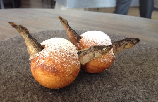 Galleria fotografica






In cammino verso il Noma. Il ristorante è al piano terra del palazzone più a sinistra. Per arrivarci dalla popolare insenatura di Nyhavn (il punto da cui è scattata la foto), occorre fare un bel giro. Ma si notano i lavori per la costruzione di un ponte. Che condurrà dritto all'insegna








Altra prospettiva sul Noma da Nyhavn. Il ristorante galleggia sulla Christianshavn, una delle tante isole artificiali che compongono Copenhagen








Di là del fiume, sulla lunga via che conduce allo spiazzo del Noma








Uno scenario molto tranquillo, di case pastello. Il silenzio è perché vanno tutti in bici













Al massimo si sente rombare qualche scafo








Il vascello davanti al Noma. Oltre a quella danese, sventolano le bandiere di Isole Far Oer e Groenlandia: le loro ambasciate sono nello stesso palazzo del ristorante. Coerenza nordica








Il retro del ristorante. L'80% delle 80 persone che lavorano al Noma viene a lavorare in bici, chef incluso








Dietro al ristorante, un'iscrizione ricorda i passeggeri scomparsi a bordo della danese Hans Hedtoft. Il transatlantico si scontrò il 30 gennaio 1959 contrò un iceberg in Groenlandia. Fu ritrovata solo una cintura di sicurezza
 








L'ingresso del ristorante, al civico 93 di Strandgade








La vista, ingresso alle spalle








Tra l'ingresso e la cucina a vista, spicca un corner di decoro simil-giapponese. A sinistra s'intravede Noma, time and place in Nordic Cuisine, edizioni Phaidon, un testo fondamentale per approfondire tutti i rivoli del Redzepi-mondo. La versione italiana si ordina qui








Una pianta di piccoli agrumi orla la cucina a vista








La porta d'ingresso vista dalla cucina








Le sedie, molto comode, sono anni Sessanta con schienali foderati di pelle di pecora, alcune più morbide di altre








I tavoli sono ampi e senza tovaglie. Attorno prevale il grigio e i colori rustici, sulle travi in legno del soffitto ma anche sulle divise dei ragazzi di sala








La finestra accanto al nostro tavolo








E' lo chef Rene Redzepi a introdurci al pasto: in un vaso di fiori danesi, l'unico pendaglio commestibile è una sorta di carta musica croccante (flatbread) di farina di malto all'aroma di ginepro. Nel piattino in basso, una deliziosa crème fraîche acida per intingerlo








Il flatbread è quello che svetta. "Ma se ci tenete, provate a mangiare anche i fiori", scherza Redzepi. Il cuoco scompare nelle segrete del Noma. Lo ritroveremo solo alla fine del pasto








Tutti i 14 appetizer si mangeranno con le mani. Unica posata, il coltello per tirar su e leccare la crème fraîche da sola (da fare quando tutti gli altri clienti son distratti, però)








Moss and Cep: Muschio di renna con polvere di funghi porcini. E' il corpo bianco, molto saporito ed evanescente, da intingere anch'esso nella crème fraîche
 








Crispy pork skin and black currant: Pelle di maiale croccante e ribes nero, lo strato più esterno. Aspro e croccante








Il ribes nero non ci lascerà prima di molto tempo








Blue mussels and celery: cozze e sedano. Solo due sono quelle buone








La parte inferiore del guscio è commestibile (ancora farina di malto)








Il quinto appetizer è nascosto in una deliziosa scatola di biscotti in latta della tradizione danese (chi non ricorda i Danish butter cookies?)








Cinque tondini, ma solo due "interessanti"








Si chiamano Cheese cookies, rocket and stems, letteralmente Biscotti al formaggio, ruchetta e gambi di erbe aromatiche, un felice snack potenzialmente riproducibile nei nord e nei sud del mondo








Appetizer #6: Potato and duck liver, Patate e fegato d'anatra: le patate croccanti sono in due strati e a mo' di sandwich racchiudono la mousse di fegato. La spolverata è di funghi trombette dei morti, disidratati e polverizzati, una tecnica che troveremo frequentemente








Dried carrot and sorrel, Carote grigliate a fuoco lento per 14 ore, disidratate e servite su polvere di fieno. Si intingono nell'emulsione di acetosella accanto. Un grande piatto perché di inattesa, energica acidità








Ottava entrée: Caramelized milk and cod liver, Biscotto di latte caramellato e fegato di merluzzo, quest'ultimo ghiacciato e pulito. Il secondo dona un aroma molto strong, che domina sul biscotto croccante. Per palati muscolari








Le uova dentro l'uovo








Pickled and smoked quails eggs, Uova di quaglia sbollentate, marinate e affumicate, un classico del Noma. Il tuorlo è completamente liquido








Col Veal fibres and söl, Filamenti di vitello e söl, decimo appetizer, entra in gioco per la prima volta un'alga di mare. E' il söl, appunto, dulse in inglese, Palmaria palmata nella tassonomia scientifica, un'alga rossa incastrata nei filamenti di vitello precedentemente tagliati sottili e poi fritti. Curioso l'impiatto a nido di ingredienti che alla fine incastrano terra e mare








Herb Toast and smoked cod roe, Toast alle erbe e uova di merluzzo affumicato, un'altra grandiosa tapa nordica da far su in due bocconi. Se non ricordiamo male, lo strato superiore è brodo di fegato d'anatra disidratato








Radish, soil and grass, Rapanello, "suolo" ed erba, un altro grande classico del Noma, un paesaggio commestibile di chiara genesi basca-adrianesca, molto replicato negli anni. Carote baby e rapanelli sono interrati in un "suolo" che è una crema di farina di malto con nocciole disidratate. Sotto ancora, uno yogurt di erbe. Finite le verdure, abbiamo chiesto dei cucchiaini per ripulire il suolo








Una foto (di spreadbutter) chiarisce meglio il contenuto del vasetto





