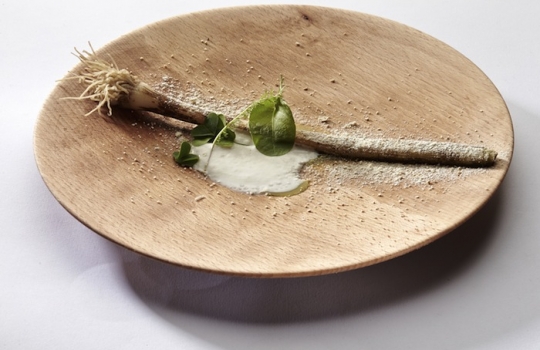 Galleria fotograficaFulvio Pierangelini, a lungo chef del Gambero Rosso di San Vincenzo (Livorno)La celebre Passatina di ceci con gamberi di Fulvio Pierangelini (qua il racconto integrale della lezione)Davide Scabin, chef del Combal.Zero di Rivoli (Torino)Il cyber egg di Davide Scabin, piatto simbolo del cuoco piemontesePasta salad di Davide ScabinVittorio Fusari, Dispensa Pane e Vini ad Adro (Brescia)L&rsquo;Interpretazione dell&rsquo;agnello di Alpago di Vittorio FusariLa pecora con gli occhiali della Val di Fanes, Vittorio FusariVirgilio Martinez, ristorante Central, Lima, Per&ugrave;
&nbsp;Capasanta, ka&ntilde;ihua&nbsp;di Ayaviri, emulsione di camu-camu di Virgilio MartinezErba andina/patata essiccata a 3mila metri, cacao amazzonico e giardino di Virgilio MartinezMeryem Cherkaoui de La Maison du Gourmet di Casablanca, MaroccoVongole allo zafferano in brodo con sapori marocchini, mandorle, fave e croccante di&nbsp;Meryem CherkaouCarlos Garcia, chef del ristorante Alto di Caracas, VenezuelaOssobuco nero con ossobuco di patata e soffritto criollo di Carlos GarciaLingua di cacao, Carlos GarciaOstrica di pomodoro di&nbsp;Roberta Sudbrack del ristorante Sudbrack di Rio de Janeiro (Brasile)Enrique Olvera, Pujol, Citt&agrave; del Messico, MessicoPlatano, ralladura di macadamia,&nbsp;hierba buena e crema di agrumi di Enrique OlveraMassimiliano e Valentino Marcattilii, San Domenico di Imola (Bologna)Uovo in raviolo di Valentino Marcattilii, grande classico della cucina italianaMagnus Nilsson, ristorante F&auml;viken, J&auml;rpen, SveziaUova di trota servite in una crosta calda di sangue di maiale disidratato di Magnus NilssonErnesto Iaccarino, Don Alfonso 1890, Sant&rsquo;Agata sui Due Golfi (Salerno)Nudi di ricotta in ristretto di cappone di mare con infusione di verbena odorosa e zest di limone, Ernesto IaccarinoArnaud Daguin, H&eacute;gia, Hasparren, FranciaPoularde guascona cotta sulla pelle, con porri di Cervere e altre verdure di stagione, Arnaud DaguinZuppa due strati di lenticchie bionde di Saint-Flour, Arnaud DaguinCarlo Cracco, ristorante Cracco, MilanoRigatoni di peperoni e acciuga di Carlo CraccoGnocchi di patate dorati con schie e spinaci, Carlo CraccoNicolas Darguilhem, Le Neptune, Bruxelles, Belgio