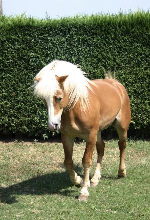 Galleria fotograficaPesce in scatolaTuorlo, scalogno, Beluga e caviale al tartufo neroAnguilla affumicata, acqua di spugnole e porri croccantiTagliatelle nere, polpa di riccio e bianco di seppiaGnocchi viola con crema di porri e tonno rossoVodka tonicCioccolato al cuboil resortil ristorante