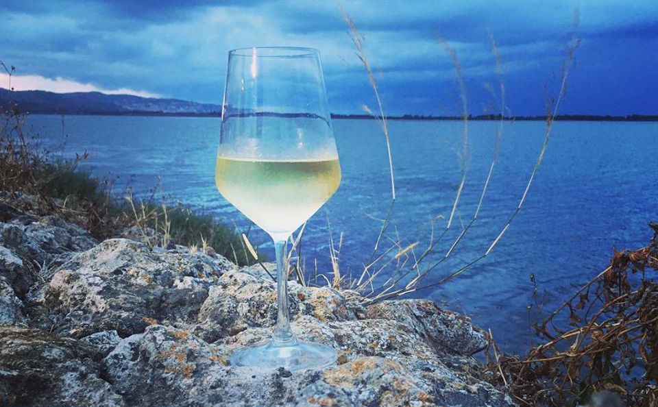 Un vino che profuma di mare: «Vermentino, bandiera della Maremma»