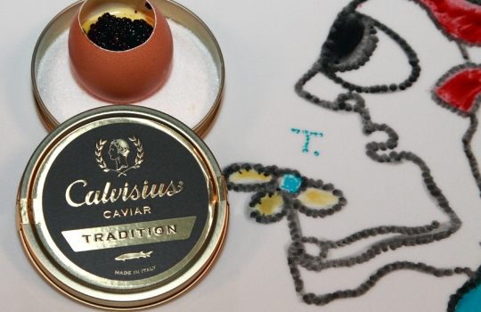 Galleria fotografica






Andrea Mainardi e l'artista Cesare Gozzetti








Andrea Mainardi all'opera





