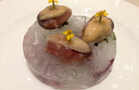 Galleria fotografica






L'ingresso di Palazzo Parigi








Carlo Cracco e il sommelier milanese Matteo Ghiringhelli. In serata berremo bollicine Giulio Ferrari, Malvasia Istriana di Vie di Romans e una mirabile Barbera 2001 di Vigneti Massa. 720 le referenze in carta inserite da Ghiringhelli: 60% italiane, 30% Francia, 10% resto del mondo








Carlo Cracco (in fasci di beatitudine per colpa del pessimo fotografo) con un ragazzo della brigata di Palazzo Parigi. L'executive è Diego Giglio, una lunga militanza in via Victor Hugo al fianco di CC e del corregionale piemontese Matteo Baronetto: "Da Matteo ci divide solo la fede calcistica", scherza Giglio, nato a Carmagnola, "juventino io, granata lui"








Quattro dei tavoli in sala, tutti in posizione angolare, sfoggiano questi divani perfetti per cene chick to chick








Alle pareti specchiere, stucchi e arazzi di pregio. Si nota un camino








Sfavillanti lampadari in vetro di Murano





