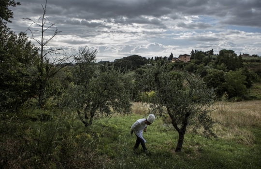 Photogallery






Lo staff del Celler de Can Roca di Girona in pellegrinaggio in pausa pranzo in direzione Can Roca, il ristorante di Monsterrat Fontanè, mamma di Joan, Josep e Jordi Roca. "Per me", spiega la signora nel libro di Jörgensen, "è come cucinare per un'unica grande, felice famiglia allargata" (foto PAJ/Phaidon)








Paolo Lopriore (foto PAJ/Phaidon)





