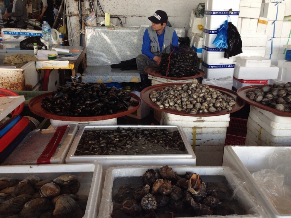 Galleria fotografica






Panoramica dal 32mo piano del Lotte Hotel di Seul. La capitale della Corea del Sud (che i locali pronunciano "sol"), con 10 milioni di abitanti (25 considerando tutta la proncia di Gyeonggi) è tra le città più popolose al mondo








Sfigurata nel Novecento dai Giapponesi (prima parte del secolo) e dalla guerra di Corea (1950-1953), oggi Seul ha un aspetto moderno, piuttosto occidentale








Con decine di milioni di turisti all'anno, Seul è tra le 10 città più visitate al mondo. Nella foto, una delle attrazioni più viste in città: il Dongdaemun Design Plaza, progettato da Zaha Adid e Samoo e completato nel marzo del 2014
 








A passeggio per il quartiere di Myeongdong, molto frequentato anche per l’alta concentrazione di ristoranti








Il viaggio era cominciato bene: tra le opzioni commestibili sui voli di Korean Air c’è proprio una squisita Bibimpap, con tanto di foglietto illustrativo








Bancarelle all’ingresso del mercato Namdaemun, tra i più popolari di Seul. Chiunque può andare e comprare; non occorrono licenze








Namdaemun, trippa a mollo





