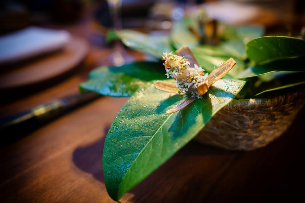 Galleria fotograficaChampagne&nbsp;Louis Roederer&nbsp;2009, Blanc de blancs
