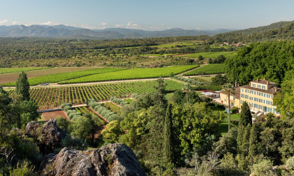 In cantina - Think Pink, a new chapter for the rosé wines from Château