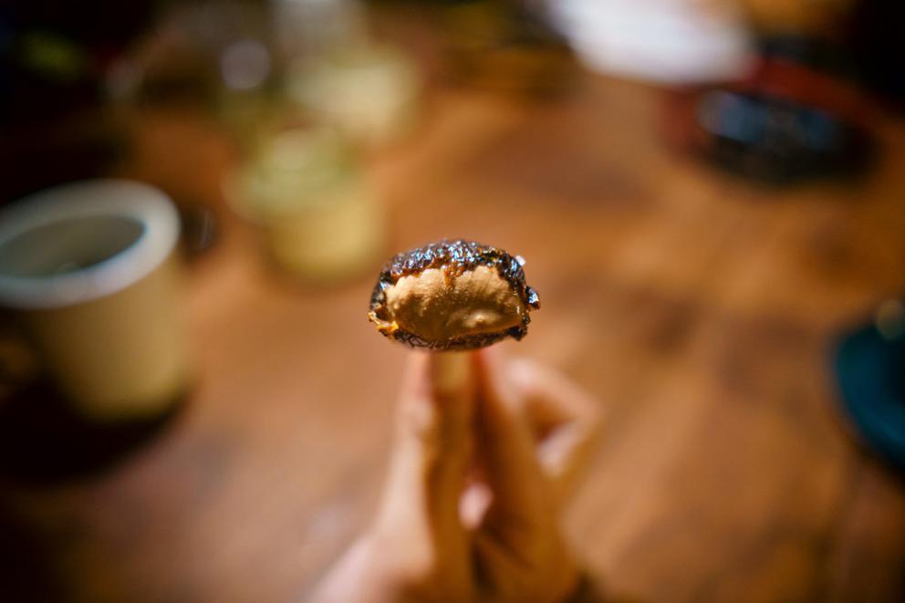 Galleria fotograficaChampagne&nbsp;Louis Roederer&nbsp;2009, Blanc de blancs
Pi&ntilde;uela e tamarindo
Pi&ntilde;uela&nbsp;e tamarindo, da vicino
Vongola regina dal golfo di California
La vongola da vicino
Saluto con pomodori disidratati e chapulines&nbsp;
Brodo freddo di masa con lime e fiori del momento
Mead, birrificio&nbsp;Escollo, stato di&nbsp;Quer&eacute;taro
Cocco giovane e caviale
Vino: Presencia Casual 2014, da uve Semillon,&nbsp;Luis-Antoine Luyt, Cile
Frutta tropicale e Chile de arbol (peperoncino Coda di topo)
Frutta locale
Ceviche di banana e olio di alghe kelp
Alga kelp gigante e michelada di cozze
Taco di spinaci Chaya&nbsp;con ostriche fresche dalla Bahia Falsa (Baja California)
Il taco da vicino
Amber ale del&nbsp;birrificio Cebia,&nbsp;Merida
Zucca grigliata per intero
Una notte sotto le stelle
Tostada con escamoles (larve di formiche)
La tostada da vicino
Birra Golden Sour del birrifico&nbsp;Wendlandt di&nbsp;Ensenada (Messico)
Polpo appena cotto in crosta di sale masa
Il polpo cotto su salsa dzikilpak
Ancora il polpo
Tortillas da Yaxunah
Altre tortillas
Epazote, pomodoro verde e mezcal
Lo chef Ren&egrave; Redzepi
Lech&oacute;n (maialino da latte)
Cerdo pel&oacute;n (maiale creolo messicano) e grano&nbsp;macinato fresco da Yaxunah
Il maiale da vicino
Il mole di Rosio (Sanchez, storica pasticciera messicana del Noma, ndr) con capesante disidratate e hoja santa grigliata
Il mole di Rosio
Vino La Fama Roja di&nbsp;Bichi, stato di&nbsp;Tecate (Baja California, Messico)
Dessert: avocado grigliato e semi di mamey
Cioccolato dal cacao locale Jaguar e peperoncini mixe
