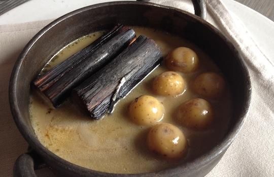 Galleria fotografica






In cammino verso il Noma. Il ristorante è al piano terra del palazzone più a sinistra. Per arrivarci dalla popolare insenatura di Nyhavn (il punto da cui è scattata la foto), occorre fare un bel giro. Ma si notano i lavori per la costruzione di un ponte. Che condurrà dritto all'insegna








Altra prospettiva sul Noma da Nyhavn. Il ristorante galleggia sulla Christianshavn, una delle tante isole artificiali che compongono Copenhagen








Di là del fiume, sulla lunga via che conduce allo spiazzo del Noma








Uno scenario molto tranquillo, di case pastello. Il silenzio è perché vanno tutti in bici













Al massimo si sente rombare qualche scafo








Il vascello davanti al Noma. Oltre a quella danese, sventolano le bandiere di Isole Far Oer e Groenlandia: le loro ambasciate sono nello stesso palazzo del ristorante. Coerenza nordica








Il retro del ristorante. L'80% delle 80 persone che lavorano al Noma viene a lavorare in bici, chef incluso








Dietro al ristorante, un'iscrizione ricorda i passeggeri scomparsi a bordo della danese Hans Hedtoft. Il transatlantico si scontrò il 30 gennaio 1959 contrò un iceberg in Groenlandia. Fu ritrovata solo una cintura di sicurezza
 








L'ingresso del ristorante, al civico 93 di Strandgade








La vista, ingresso alle spalle








Tra l'ingresso e la cucina a vista, spicca un corner di decoro simil-giapponese. A sinistra s'intravede Noma, time and place in Nordic Cuisine, edizioni Phaidon, un testo fondamentale per approfondire tutti i rivoli del Redzepi-mondo. La versione italiana si ordina qui








Una pianta di piccoli agrumi orla la cucina a vista








La porta d'ingresso vista dalla cucina








Le sedie, molto comode, sono anni Sessanta con schienali foderati di pelle di pecora, alcune più morbide di altre








I tavoli sono ampi e senza tovaglie. Attorno prevale il grigio e i colori rustici, sulle travi in legno del soffitto ma anche sulle divise dei ragazzi di sala








La finestra accanto al nostro tavolo








E' lo chef Rene Redzepi a introdurci al pasto: in un vaso di fiori danesi, l'unico pendaglio commestibile è una sorta di carta musica croccante (flatbread) di farina di malto all'aroma di ginepro. Nel piattino in basso, una deliziosa crème fraîche acida per intingerlo








Il flatbread è quello che svetta. "Ma se ci tenete, provate a mangiare anche i fiori", scherza Redzepi. Il cuoco scompare nelle segrete del Noma. Lo ritroveremo solo alla fine del pasto








Tutti i 14 appetizer si mangeranno con le mani. Unica posata, il coltello per tirar su e leccare la crème fraîche da sola (da fare quando tutti gli altri clienti son distratti, però)








Moss and Cep: Muschio di renna con polvere di funghi porcini. E' il corpo bianco, molto saporito ed evanescente, da intingere anch'esso nella crème fraîche
 








Crispy pork skin and black currant: Pelle di maiale croccante e ribes nero, lo strato più esterno. Aspro e croccante








Il ribes nero non ci lascerà prima di molto tempo








Blue mussels and celery: cozze e sedano. Solo due sono quelle buone








La parte inferiore del guscio è commestibile (ancora farina di malto)








Il quinto appetizer è nascosto in una deliziosa scatola di biscotti in latta della tradizione danese (chi non ricorda i Danish butter cookies?)








Cinque tondini, ma solo due "interessanti"








Si chiamano Cheese cookies, rocket and stems, letteralmente Biscotti al formaggio, ruchetta e gambi di erbe aromatiche, un felice snack potenzialmente riproducibile nei nord e nei sud del mondo








Appetizer #6: Potato and duck liver, Patate e fegato d'anatra: le patate croccanti sono in due strati e a mo' di sandwich racchiudono la mousse di fegato. La spolverata è di funghi trombette dei morti, disidratati e polverizzati, una tecnica che troveremo frequentemente








Dried carrot and sorrel, Carote grigliate a fuoco lento per 14 ore, disidratate e servite su polvere di fieno. Si intingono nell'emulsione di acetosella accanto. Un grande piatto perché di inattesa, energica acidità








Ottava entrée: Caramelized milk and cod liver, Biscotto di latte caramellato e fegato di merluzzo, quest'ultimo ghiacciato e pulito. Il secondo dona un aroma molto strong, che domina sul biscotto croccante. Per palati muscolari








Le uova dentro l'uovo








Pickled and smoked quails eggs, Uova di quaglia sbollentate, marinate e affumicate, un classico del Noma. Il tuorlo è completamente liquido








Col Veal fibres and söl, Filamenti di vitello e söl, decimo appetizer, entra in gioco per la prima volta un'alga di mare. E' il söl, appunto, dulse in inglese, Palmaria palmata nella tassonomia scientifica, un'alga rossa incastrata nei filamenti di vitello precedentemente tagliati sottili e poi fritti. Curioso l'impiatto a nido di ingredienti che alla fine incastrano terra e mare








Herb Toast and smoked cod roe, Toast alle erbe e uova di merluzzo affumicato, un'altra grandiosa tapa nordica da far su in due bocconi. Se non ricordiamo male, lo strato superiore è brodo di fegato d'anatra disidratato








Radish, soil and grass, Rapanello, "suolo" ed erba, un altro grande classico del Noma, un paesaggio commestibile di chiara genesi basca-adrianesca, molto replicato negli anni. Carote baby e rapanelli sono interrati in un "suolo" che è una crema di farina di malto con nocciole disidratate. Sotto ancora, uno yogurt di erbe. Finite le verdure, abbiamo chiesto dei cucchiaini per ripulire il suolo








Una foto (di spreadbutter) chiarisce meglio il contenuto del vasetto








Æbleskiver e muikku, penultimo appetizer, di concezione piuttosto recente. Un'antica tradizione dolce danese (Æbleskiver significa "piccoli pezzi di mela" ma la mela qui non c'è) è presentata in versione salata. Code e teste dei muikku, sorta di aringhe baby, sono infilzate in due bigné dall'impasto molto morbido con del ripieno di cetriolo marinato, ben riconoscibile al palato. L'aspetto dispone il cliente alla sfida ma la sua bizzarria visiva si scioglie presto in due bocconi morbidi, eleganti e deliziosi








Ultimo di 14 appetizer: Sorrel leaf and cricket paste, Foglia di acetosella (leggermente piccante) con pasta di grillo. Sì, proprio l'insetto dei prati, qui in consistenza di crema, inserita nel gambo dell'acetosella. Mettendo a fermentare grilli e orzo fermentato, Redzepi ha ottenuto una sorta di garum molto interessante, simile alla soia. Completa il piatto in foto, una granita di nasturzio ghiacciato








E il vino? Non producendo la Danimarca nettari di rilievo, è forse il capitolo meno allettante del Noma. La carta è un trionfo di vini ottenuti in climi freddi: francesi, tedeschi o austriaci soprattutto. Vini di acidità spinta che si combinano bene con le prevalenti acidità dei piatti. Le persone inquadrate nella foto hanno optato per il pairing coi succhi di frutta, quelli sì interessanti e autoctoni: il percorso prevede 7-8 succhi tra cui carote e ginepro, sedano e sedanorapa, cetriolo, eccetera. E i vini italiani? Pochi e tutti rossi, soprattutto di produttori di nebbiolo del Piemonte. "Ma li chiedono solo i norvegesi", ci raccontano








Terminati appetizer e main courses, sbirciamo i lavori in cucina. In primo piano, Samuel Nutter, sous chef inglese








Al centro, riconosciamo Matthew Orlando di San Diego, 35 anni e da 4 e mezzo head chef del Noma. Più tardi ci rivelerà che entro un paio d'anni aprirà il suo ristorante a Copenhagen. "E Renè che ne pensa?", chiediamo. "E' proprio lui a incoraggiarci a metterci in proprio", risponde Orlando. Vero, chiedere anche a Christian Puglisi








Ancora Orlando ci spiegherà che, tra sala, cucina, preparazioni e laboratorio, il Noma arriva a impiegare dall'alba a mezzanotte fino a 80 persone








La cucina prevede 7 comparti: il caldo, il freddo, la pasticceria, gli snack, produzione e mise-en-place, le preparazioni della squadra del mattino e la ricerca (su quest'ultima torneremo più avanti). Gli stagisti scelgono di lavorarci, sapendo di non essere pagati. Redzepi riceve un centinaio di curricula a settimana








Torniamo a tavola e troviamo nuove posate: rami appuntiti di sambuco





