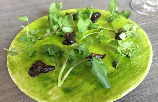 Galleria fotografica






In cammino verso il Noma. Il ristorante è al piano terra del palazzone più a sinistra. Per arrivarci dalla popolare insenatura di Nyhavn (il punto da cui è scattata la foto), occorre fare un bel giro. Ma si notano i lavori per la costruzione di un ponte. Che condurrà dritto all'insegna








Altra prospettiva sul Noma da Nyhavn. Il ristorante galleggia sulla Christianshavn, una delle tante isole artificiali che compongono Copenhagen








Di là del fiume, sulla lunga via che conduce allo spiazzo del Noma








Uno scenario molto tranquillo, di case pastello. Il silenzio è perché vanno tutti in bici













Al massimo si sente rombare qualche scafo








Il vascello davanti al Noma. Oltre a quella danese, sventolano le bandiere di Isole Far Oer e Groenlandia: le loro ambasciate sono nello stesso palazzo del ristorante. Coerenza nordica








Il retro del ristorante. L'80% delle 80 persone che lavorano al Noma viene a lavorare in bici, chef incluso








Dietro al ristorante, un'iscrizione ricorda i passeggeri scomparsi a bordo della danese Hans Hedtoft. Il transatlantico si scontrò il 30 gennaio 1959 contrò un iceberg in Groenlandia. Fu ritrovata solo una cintura di sicurezza
 








L'ingresso del ristorante, al civico 93 di Strandgade








La vista, ingresso alle spalle








Tra l'ingresso e la cucina a vista, spicca un corner di decoro simil-giapponese. A sinistra s'intravede Noma, time and place in Nordic Cuisine, edizioni Phaidon, un testo fondamentale per approfondire tutti i rivoli del Redzepi-mondo. La versione italiana si ordina qui








Una pianta di piccoli agrumi orla la cucina a vista








La porta d'ingresso vista dalla cucina








Le sedie, molto comode, sono anni Sessanta con schienali foderati di pelle di pecora, alcune più morbide di altre








I tavoli sono ampi e senza tovaglie. Attorno prevale il grigio e i colori rustici, sulle travi in legno del soffitto ma anche sulle divise dei ragazzi di sala








La finestra accanto al nostro tavolo








E' lo chef Rene Redzepi a introdurci al pasto: in un vaso di fiori danesi, l'unico pendaglio commestibile è una sorta di carta musica croccante (flatbread) di farina di malto all'aroma di ginepro. Nel piattino in basso, una deliziosa crème fraîche acida per intingerlo








Il flatbread è quello che svetta. "Ma se ci tenete, provate a mangiare anche i fiori", scherza Redzepi. Il cuoco scompare nelle segrete del Noma. Lo ritroveremo solo alla fine del pasto








Tutti i 14 appetizer si mangeranno con le mani. Unica posata, il coltello per tirar su e leccare la crème fraîche da sola (da fare quando tutti gli altri clienti son distratti, però)








Moss and Cep: Muschio di renna con polvere di funghi porcini. E' il corpo bianco, molto saporito ed evanescente, da intingere anch'esso nella crème fraîche
 








Crispy pork skin and black currant: Pelle di maiale croccante e ribes nero, lo strato più esterno. Aspro e croccante








Il ribes nero non ci lascerà prima di molto tempo








Blue mussels and celery: cozze e sedano. Solo due sono quelle buone








La parte inferiore del guscio è commestibile (ancora farina di malto)








Il quinto appetizer è nascosto in una deliziosa scatola di biscotti in latta della tradizione danese (chi non ricorda i Danish butter cookies?)








Cinque tondini, ma solo due "interessanti"








Si chiamano Cheese cookies, rocket and stems, letteralmente Biscotti al formaggio, ruchetta e gambi di erbe aromatiche, un felice snack potenzialmente riproducibile nei nord e nei sud del mondo








Appetizer #6: Potato and duck liver, Patate e fegato d'anatra: le patate croccanti sono in due strati e a mo' di sandwich racchiudono la mousse di fegato. La spolverata è di funghi trombette dei morti, disidratati e polverizzati, una tecnica che troveremo frequentemente








Dried carrot and sorrel, Carote grigliate a fuoco lento per 14 ore, disidratate e servite su polvere di fieno. Si intingono nell'emulsione di acetosella accanto. Un grande piatto perché di inattesa, energica acidità








Ottava entrée: Caramelized milk and cod liver, Biscotto di latte caramellato e fegato di merluzzo, quest'ultimo ghiacciato e pulito. Il secondo dona un aroma molto strong, che domina sul biscotto croccante. Per palati muscolari








Le uova dentro l'uovo








Pickled and smoked quails eggs, Uova di quaglia sbollentate, marinate e affumicate, un classico del Noma. Il tuorlo è completamente liquido








Col Veal fibres and söl, Filamenti di vitello e söl, decimo appetizer, entra in gioco per la prima volta un'alga di mare. E' il söl, appunto, dulse in inglese, Palmaria palmata nella tassonomia scientifica, un'alga rossa incastrata nei filamenti di vitello precedentemente tagliati sottili e poi fritti. Curioso l'impiatto a nido di ingredienti che alla fine incastrano terra e mare








Herb Toast and smoked cod roe, Toast alle erbe e uova di merluzzo affumicato, un'altra grandiosa tapa nordica da far su in due bocconi. Se non ricordiamo male, lo strato superiore è brodo di fegato d'anatra disidratato








Radish, soil and grass, Rapanello, "suolo" ed erba, un altro grande classico del Noma, un paesaggio commestibile di chiara genesi basca-adrianesca, molto replicato negli anni. Carote baby e rapanelli sono interrati in un "suolo" che è una crema di farina di malto con nocciole disidratate. Sotto ancora, uno yogurt di erbe. Finite le verdure, abbiamo chiesto dei cucchiaini per ripulire il suolo








Una foto (di spreadbutter) chiarisce meglio il contenuto del vasetto








Æbleskiver e muikku, penultimo appetizer, di concezione piuttosto recente. Un'antica tradizione dolce danese (Æbleskiver significa "piccoli pezzi di mela" ma la mela qui non c'è) è presentata in versione salata. Code e teste dei muikku, sorta di aringhe baby, sono infilzate in due bigné dall'impasto molto morbido con del ripieno di cetriolo marinato, ben riconoscibile al palato. L'aspetto dispone il cliente alla sfida ma la sua bizzarria visiva si scioglie presto in due bocconi morbidi, eleganti e deliziosi








Ultimo di 14 appetizer: Sorrel leaf and cricket paste, Foglia di acetosella (leggermente piccante) con pasta di grillo. Sì, proprio l'insetto dei prati, qui in consistenza di crema, inserita nel gambo dell'acetosella. Mettendo a fermentare grilli e orzo fermentato, Redzepi ha ottenuto una sorta di garum molto interessante, simile alla soia. Completa il piatto in foto, una granita di nasturzio ghiacciato








E il vino? Non producendo la Danimarca nettari di rilievo, è forse il capitolo meno allettante del Noma. La carta è un trionfo di vini ottenuti in climi freddi: francesi, tedeschi o austriaci soprattutto. Vini di acidità spinta che si combinano bene con le prevalenti acidità dei piatti. Le persone inquadrate nella foto hanno optato per il pairing coi succhi di frutta, quelli sì interessanti e autoctoni: il percorso prevede 7-8 succhi tra cui carote e ginepro, sedano e sedanorapa, cetriolo, eccetera. E i vini italiani? Pochi e tutti rossi, soprattutto di produttori di nebbiolo del Piemonte. "Ma li chiedono solo i norvegesi", ci raccontano








Terminati appetizer e main courses, sbirciamo i lavori in cucina. In primo piano, Samuel Nutter, sous chef inglese








Al centro, riconosciamo Matthew Orlando di San Diego, 35 anni e da 4 e mezzo head chef del Noma. Più tardi ci rivelerà che entro un paio d'anni aprirà il suo ristorante a Copenhagen. "E Renè che ne pensa?", chiediamo. "E' proprio lui a incoraggiarci a metterci in proprio", risponde Orlando. Vero, chiedere anche a Christian Puglisi








Ancora Orlando ci spiegherà che, tra sala, cucina, preparazioni e laboratorio, il Noma arriva a impiegare dall'alba a mezzanotte fino a 80 persone








La cucina prevede 7 comparti: il caldo, il freddo, la pasticceria, gli snack, produzione e mise-en-place, le preparazioni della squadra del mattino e la ricerca (su quest'ultima torneremo più avanti). Gli stagisti scelgono di lavorarci, sapendo di non essere pagati. Redzepi riceve un centinaio di curricula a settimana








Torniamo a tavola e troviamo nuove posate: rami appuntiti di sambuco








Servono a infilzare il primo delle portate "serie", Potato and snails, patate e lumache, servito in due piatti. Il primo è una terrina (rovente) di piccole deliziose patate affumicate e semiaffogate in una salsa al burro dolce e al tavolo spolverate con sale proprio di sambuco. Accanto, piccoli ceppi d'albero affumicati





