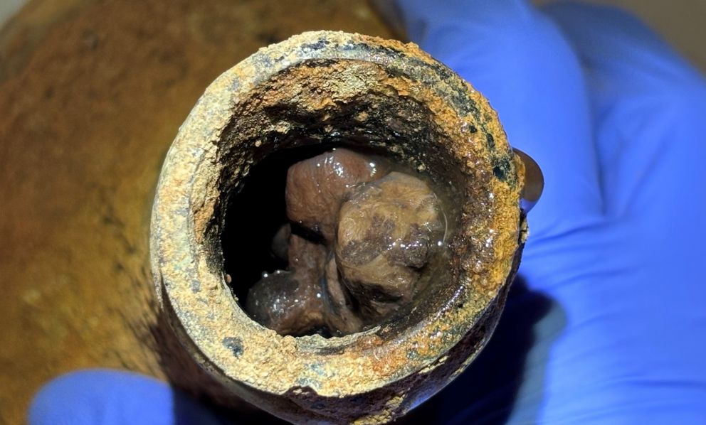 George Washington e l’incredibile storia delle ciliegie immortali: come si conservavano, come si mangiavano