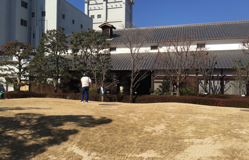 Galleria fotograficaKobe, un milione e mezzo di abitanti, &egrave; la capitale tranquilla della prefettura giapponese di Hyogo, a sua volta inserita nella macro-regione di Kansai, raggiungibile dall&rsquo;aeroporto internazionale di Osaka. Kobe dista da Osaka un&rsquo;oretta di macchina e 23 minuti di Shinkansen, i treni ad alta velocit&agrave; del Giappone. La tratta Kobe-Tokyo, circa 550 chilometri, si percorre in appena 2 ore e mezza
La prefettura di Hyogo - divisa nelle 4 province di Settsu (Kobe), Harima, Tamba e Tajima - unisce due coste: il mare del Giappone e il mare di Seto nel Pacifico a sud. Il suo simbolo &egrave; il castello di Himeji, patrimonio mondiale dell&rsquo;umanit&agrave; Unesco, eretto nel 1601. Tra poche settimane, tutt&rsquo;attorno, cominceranno a fiorire i ciliegi, uno spettacolo molto atteso&nbsp;(foto&nbsp;dronestagr.am)
La fama di Kobe accrebbe nel 1868 quando venne aperto il porto, che oggi dialoga con 500 altri porti di 130 paesi nel mondo. &Egrave; una tappa popolare per le navi da crociera. Kobe &egrave; un centro importante per le industrie pesanti e l&rsquo;acciaio: tra le altre, Kawasaki, Mitsubishi e Toshiba (foto seanews)

&nbsp;
Uno dei poli&nbsp;gastronomici pi&ugrave; vivaci di Kobe &egrave; sotterraneo, nel centro commerciale di Sogo. Decine di isole curatissime, con prodotti gastronomici di ogni genere. In primis, esercizi di patisserie e chocolaterie, una replica perfetta dei modelli francesi
Il pane &egrave; un simbolo importante per la gastronomia di Kobe, per i locali e per gli expat, circa 40mila residenti da tutto il mondo
I macaron, molto popolari nella Kobe bene
Passiamo alle meraviglie della gastronomia giapponese autentica: sempre sotto al centro commerciale Sogo, drappi di tessuto tinti con ideogrammi nascondono gli ingressi di piccole tavole a conduzione familiare, come questo teppanyiaki. Quattro tavoli in tutto, ognuno con piastra, per arroventarsi qualsiasi cosa. Nel nostro caso, soba meshi (noodle fritti con carne) e okonomiyaki, sorta di frittata. Vietato indossare maglioni pregiati
Nel centro di Kobe spunta anche una vivace Chinatown. Sono forti i legami commerciali tra la citt&agrave; giapponese e l&rsquo;isola cinese (con ambizioni irredentiste) di Taiwan
Le relazioni tra Kobe e Taiwan si sono rafforzate anche per un tragico destino comune: le calamit&agrave; naturali. Il terremoto di Kobe del 17 gennaio 1995 provoc&ograve; 6.400 vittime e 40mila feriti, danneggiando oltre 240mila palazzi. Nella foto, la prima sede del ristorante di cucina tradizionale Matsunoya dopo il sisma
Il ristorante Matsunoya &egrave; rinato in una nuova sede. Gli abbiamo dedicato un post
La chiusura del menu kaiseki del Matsunoya: t&egrave; matcha frullato per qualche secondo con canne di bamb&ugrave;, una preparazione molto popolare
Siamo accolti nel quartier generale della prefettura di Hyogo dal governatore in persona, il signor Toshizo Ido (nella foto, a destra). &laquo;Volevamo ringraziarvi anche per la nostra formidabile&nbsp;esperienza all&rsquo;Expo&raquo;, ci ha detto
I vasi di tulipani nel giardino della residenza del governatore di Hyogo
Dove comprare coltelli da cucina a Kobe? Coltelleria Kireaji-no-le, sulla Moto manchi dori, strada popolare per lo shopping
Con la pluri-premiata macelleria Moriya, passiamo al simbolo per cui la citt&agrave; portuale &egrave; famosa nel mondo: la carne di Kobe. Ottenuta da vitelli purosangue Tajima, vengono cresciuti per due anni negli allevamenti di Hyogo. Sulle sue caratteristiche di marmorizzazione abbiamo parlato diverse volte&nbsp;nei giorni di Expo. La curiosit&agrave; che non sapevamo &egrave; che fino al 1868, l&rsquo;anno in cui fu aperto il porto di Kobe, nessuno in citt&agrave; mangiava carne. Furono gli inglesi a insegnare loro l&rsquo;arte della macelleria. Purtroppo non riusciremo a visitare alcun allevamento. La motivazione ufficiale? &laquo;Dovreste stare qui a Kobe per almeno 80 giorni&raquo;, ci hanno spiegato gli interlocutori di Jetro Kobe, &laquo;solo da allora la vostra composizione batterica non risulter&agrave; pi&ugrave; nociva per i nostri bovini&raquo;
La carne di Kobe &egrave; servita in 37 insegne della citt&agrave; (e 300 in tutto il Giappone). Dove andare? Da Kobe Plaisir, al 2-11-5 della Shimoyamate, quartiere Chuo-ku
La lavagna del menu del ristorante Kobe Plaisir, un inno alla carne pi&ugrave; ambita del mondo
Lo chef del teppanyiaki, la spettacolare griglia di Kobe Plaisir
Sul suo vassoio, due meravigliose entrec&ocirc;te di carne di Kobe. Rosolate ai lati, rosse dentro, si squaglieranno in bocca
Impossibile chiedere una tartare di Kobe: vietate
Sulla griglia il ragazzo abbrustolir&agrave; anche cipolle, funghi, melanzane e rape
Comincia il tour lontano da Kobe, a caccia delle altre bont&agrave; della prefettura di Hyogo. Iniziamo dal miso dell&rsquo;azienda centenaria Rokko di Ashya. Se in Italia dici miso, pensi a un prodotto unico. Ma, cos&igrave; come non esiste &ldquo;la birra&rdquo; o il &ldquo;vino&rdquo;, cos&igrave; dobbiamo abituarci a pluralizzare un genere che l&rsquo;Occidente ingenuamente interpreta spesso come singolare. Esistono infinite variet&agrave; di miso, a seconda delle tecniche di lavorazione (bollitura in acqua o a vapore del riso), del tipo di ingredienti utilizzati (riso, ma anche segale o grano, che poi vengono uniti a fagioli neri di soia cotti) e dell&rsquo;arco temporale di fermentazione
A tavola, l&rsquo;impiego del miso non &egrave; limitato, come crediamo in Italia, alla sola zuppa in apertura del pasto (o alla fine delle maratone: gli atleti la bevono subito per sciogliere i muscoli induriti dai chilometri): la letteratura gastronomica giapponese abbonda di marinature di carne e pesce e dessert
Il futuro miso &egrave; messo a fermentare per due anni pressato da massi rocciosi, sotto al pavimento dell&rsquo;azienda Rokko. Questi miso sono pregiati perch&eacute; la loro salinit&agrave; &egrave; molto inferiore rispetto agli stessi simili pi&ugrave; cheap
Asakuro sansho (pepe), messo sotto alcol. &Egrave; uno dei prodotti pi&ugrave; interessanti che abbiamo trovato nella prefettura di Hyogo: lo abbiamo trovato nell&rsquo;entroterra di Yabu, nelle vicinanze di una frequentata pista di sci. Detto anche &ldquo;diamante verde&rdquo;, il suo frutto crudo esprime una marcata nota citrica che anestetizza piacevolmente la lingua per qualche minuto
Il pepe Asakuro si raccoglie nell&rsquo;ultima settimana di maggio, quando tutte le famiglie di Yabu e dintorni &ndash; anziani inclusi &ndash; scuotono 5.500 alberelli, percorsi da una frenetica energia. Longino & Cardenal sta per importarlo in Italia. Scommettiamo fin da ora sul dilagare del prodotto nei menu d&rsquo;autore
Carne di manzo di Tajima al pepe Asakuro con salsa di soia al vino rosso. Sul retro, verdure croccanti. Ci &egrave; stato servito al ristorante&nbsp;La Riviere di Yabu
Un formidabile tris di cr&egrave;me br&ucirc;l&eacute;e, ancora al ristorante La Riviere. L&rsquo;ortodossia del dessert &egrave; solo apparente perch&eacute; ogni tazzina &egrave; spinta da un&rsquo;aromatizzazione speciale: nell&rsquo;ordine da sinistra a destra, t&egrave; matcha, pepe Asakuro e zenzero
Media scatenati con gli ospiti italiani al ristorante La Riviere&hellip;.
&hellip;ci accoglie anche il sindaco di Yabu&hellip;
&hellip;e i risultati arrivano il giorno dopo: con l&rsquo;autore di questo dossier c&rsquo;erano Felice Lo Basso, chef del ristorante Unico di Milano e Riccardo Uleri, ceo di Longino & Cardenal
Intermezzo serale: verdura&hellip;
&hellip; e carne, da piastrare sul teppanyiaki, naturalmente
Tappa successiva: andiamo alla scoperta dei pregiati fagioli neri di soia (tambaguro) nella provincia di Tamba (guro=fagioli). Nella foto, l&rsquo;ingresso dell&rsquo;azienza Odagakishouten di Sasayama, fondata 180 anni fa
I fagioli neri di soia si coltivano da oltre 400 anni. A giugno ha inizio la semina; cento giorni dopo, da met&agrave; novembre a marzo, si estraggono dai baccelli: a novembre, una piccola parte verr&agrave; usata come edamame (i fagioli che troviamo spesso a inizio pasto in un ristorante giapponese), una gran parte finir&agrave; nella fabbrica che cominciamo a visitare
La parte pi&ugrave; interessante del processo avviene al piano superiore: su 5 tavoli tondi, squadre da 6&nbsp;operai osservano i fagioli raccolti ed essiccati uno a uno. Devono scartare quelli non sferici o bucati dagli insetti. &laquo;I fagioli neri buoni emettono un suono dolce quando rimbalzano sul tavolo&raquo;, spiegano. Sono quelli che finiranno nelle lavorazioni finali. Qualit&agrave; assoluta
I fagioli neri di soia sono venduti al naturale, cotti al vapore, caramellati o arrostiti
Dai fagioli neri di soia si ricava anche del te e farina per dolci come il gelato di soia nera (a sinistra)
Ad Harima, nel museo di Ibonoito, passiamo a un grande prodotto della tradizione di Hyogo: la pasta somen. Composti da farina bianca, acqua cristallina del fiume Ibo e sale di Ako, hanno alle spalle una storia di 600 anni. I somen premium sono venduti in fasci e sono avvolti da una fascetta centrale, che cambia colore a seconda del diametro
&nbsp;
Per lungo tempo, i somen sono stati tirati a mano attraverso articolati telai, alla maniera dei tessuti. Oggi la tecnica &egrave; aggiornata con sofisticati automatismi
La magia dei somen, pasta ad alta tenuta elastica
La famiglia delle paste giapponesi (kanmen) &egrave; piuttosto ricca: con i somen (foto) ci sono i popolari ramen (farina di frumento, acqua, sale e kansui, cio&egrave; acqua minerale alcalina), udon (farina bianca, acqua e sale ma spessore pi&ugrave; ampio dei somen e consistenza decisa), soba (farina di grano saraceno e farina bianca intrecciate ad acqua calda o fredda e diametro medio) e chasoba (nella foto, stessa tecnica dei soba e aggiunta di t&egrave; verde nell&rsquo;impasto)
Chasoba: soba con t&egrave; matcha nell'impasto
Felice Lo Basso si cimenta nell&rsquo;arte dei somen
I somen cuociono in acqua bollente per due minuti (ma anche meno se il diametro &egrave; pi&ugrave; sottile) e daranno origine a tutta una variet&agrave; di piatti, dalle insalate ai dessert. Il migliore assaggiato? Somen intinti nel brodo d&rsquo;anatra caldo. Ma funzionano alla grande anche con le zuppe fredde d&rsquo;estate
Di tutti i prodotti del paniere di Hyogo, abbiamo trovato buonissime le cipolle di Awaji, isola a sud di Kobe. Raccolte, essiccate, appese e raffreddate, hanno un sapore insolitamente molto dolce
